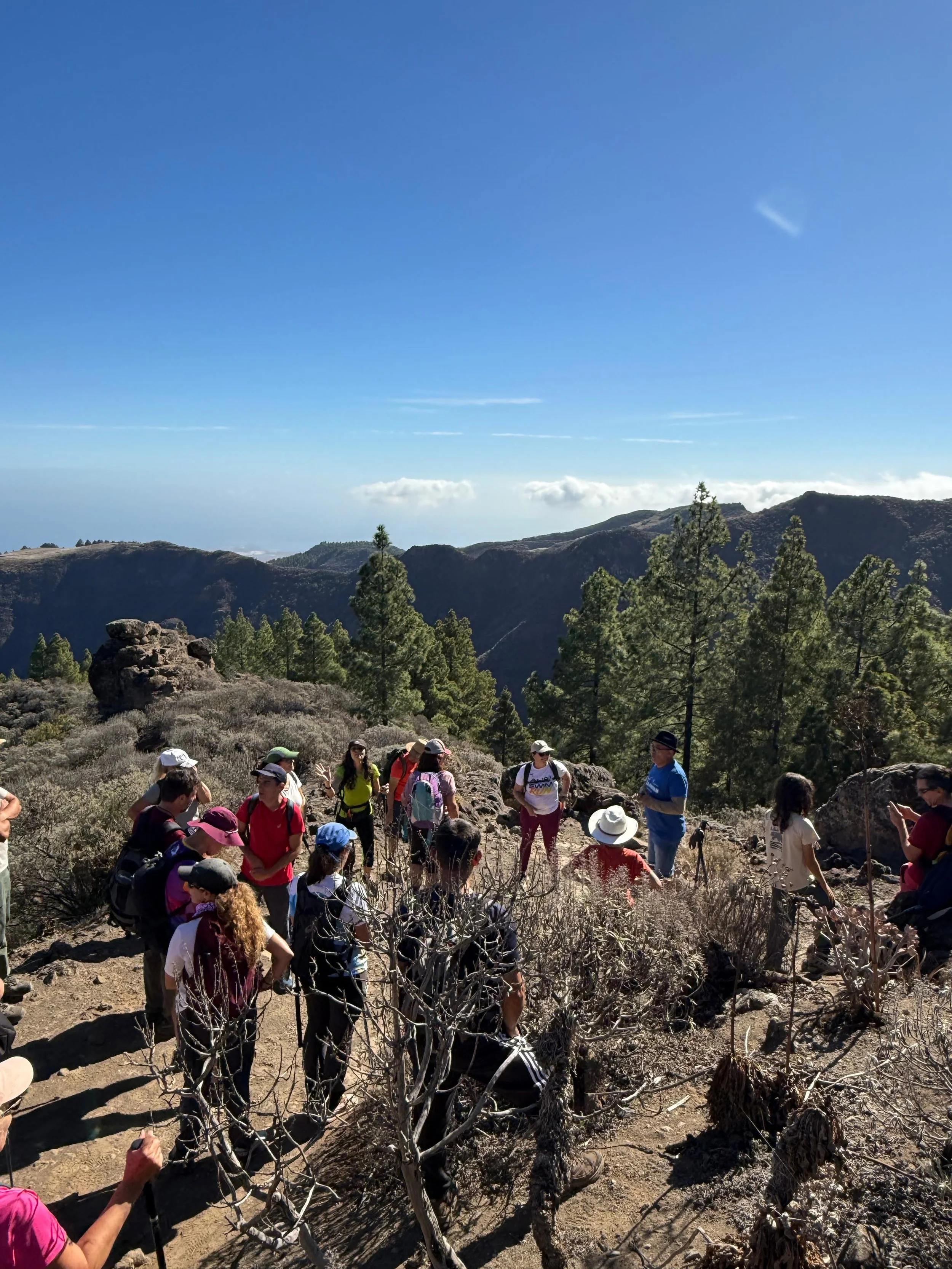 WhatsApp Image 2025-10-25 at 13.06.43 (3).jpeg