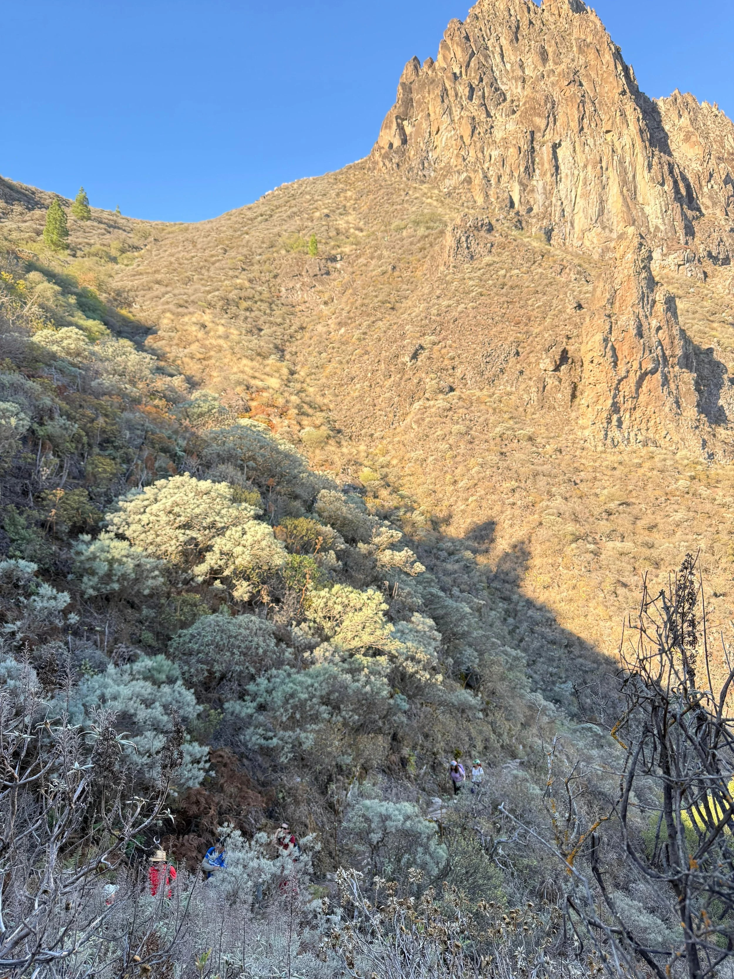 WhatsApp Image 2025-10-25 at 13.06.43.jpeg