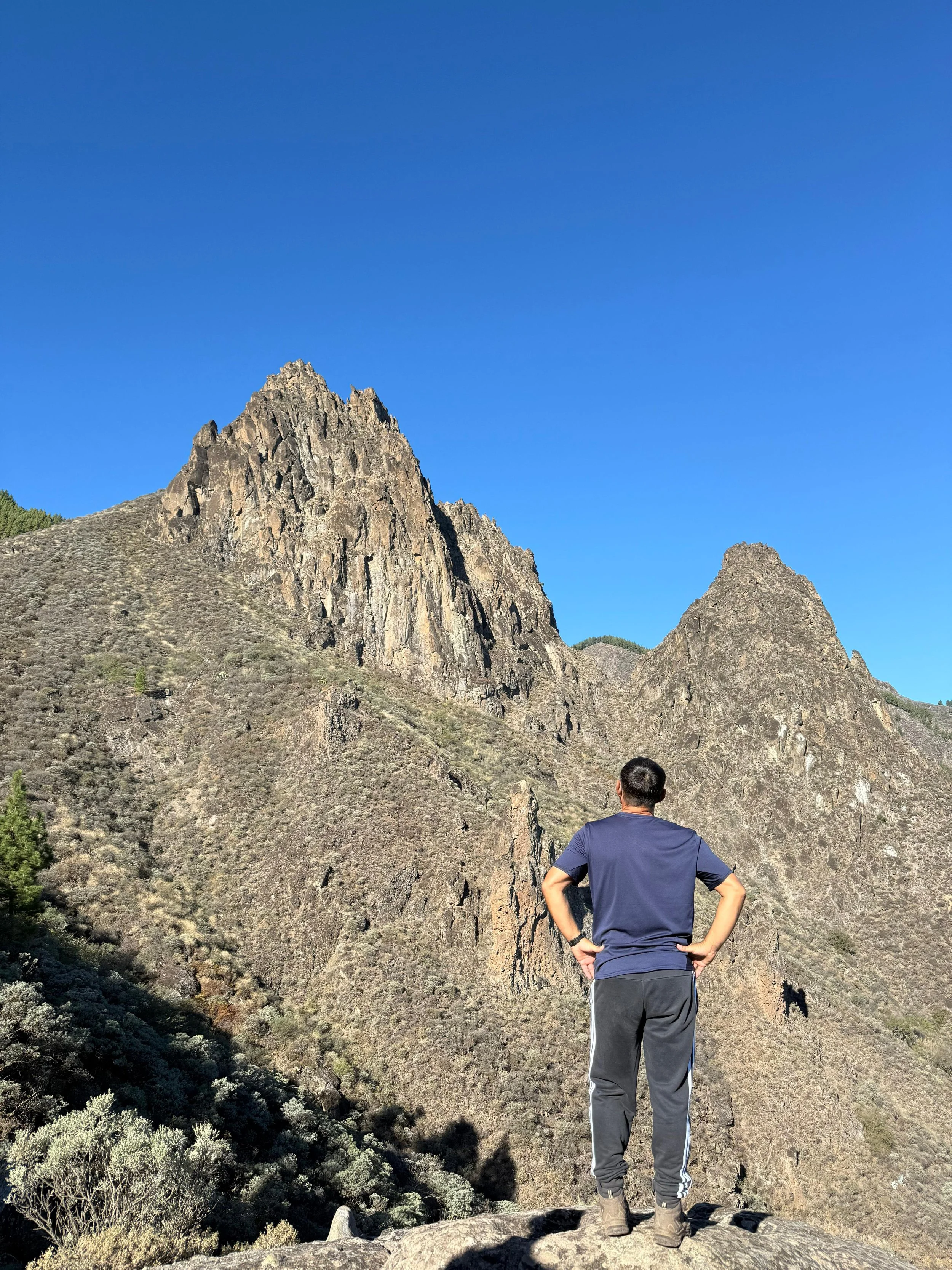 WhatsApp Image 2025-10-25 at 13.06.44 (2).jpeg