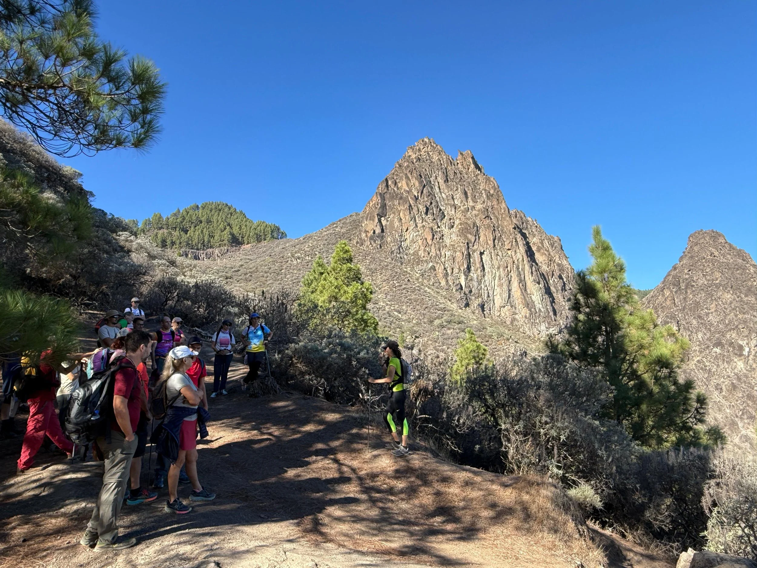 WhatsApp Image 2025-10-25 at 13.06.45.jpeg