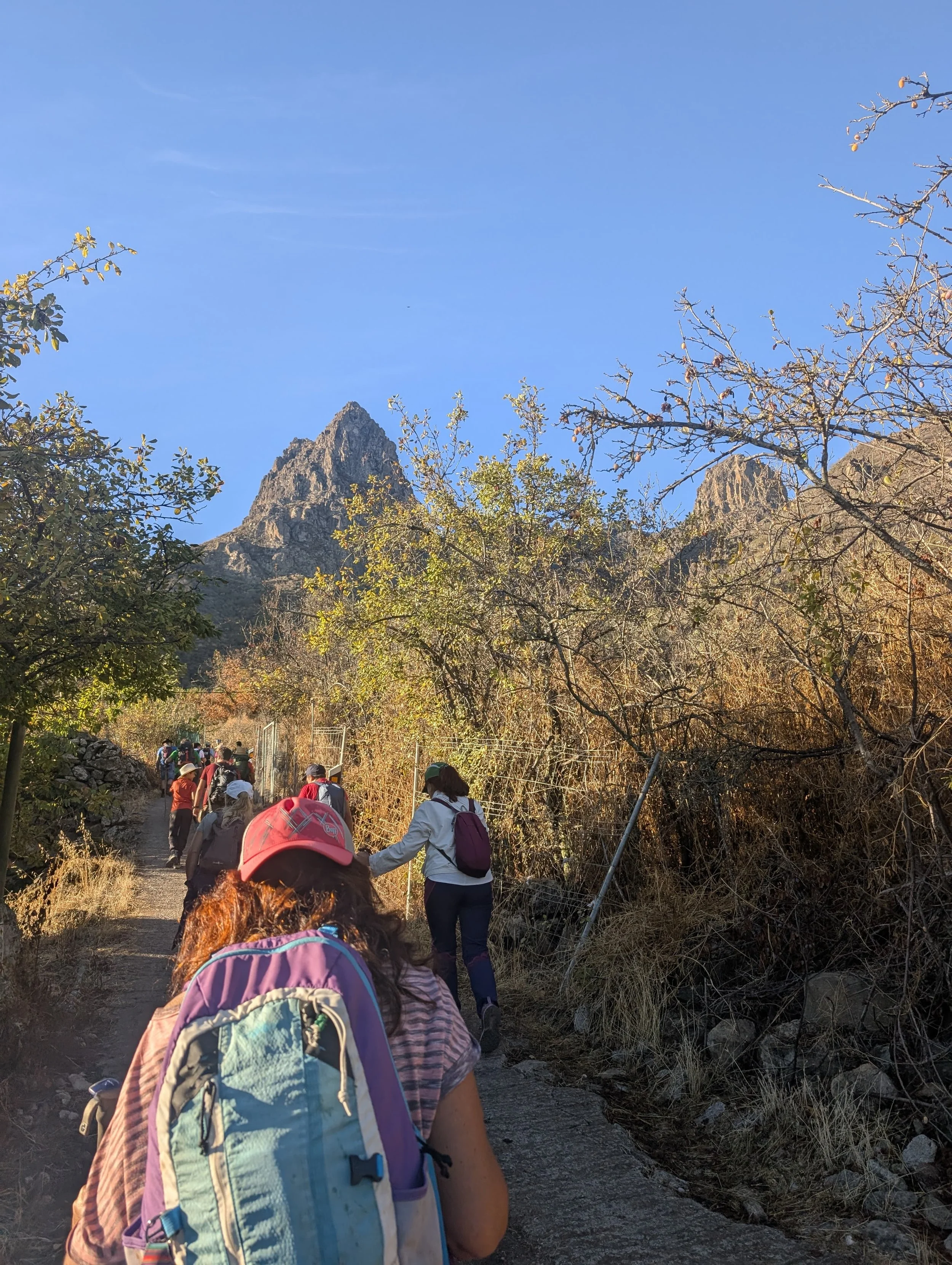 WhatsApp Image 2025-10-26 at 14.46.58 (1).jpeg