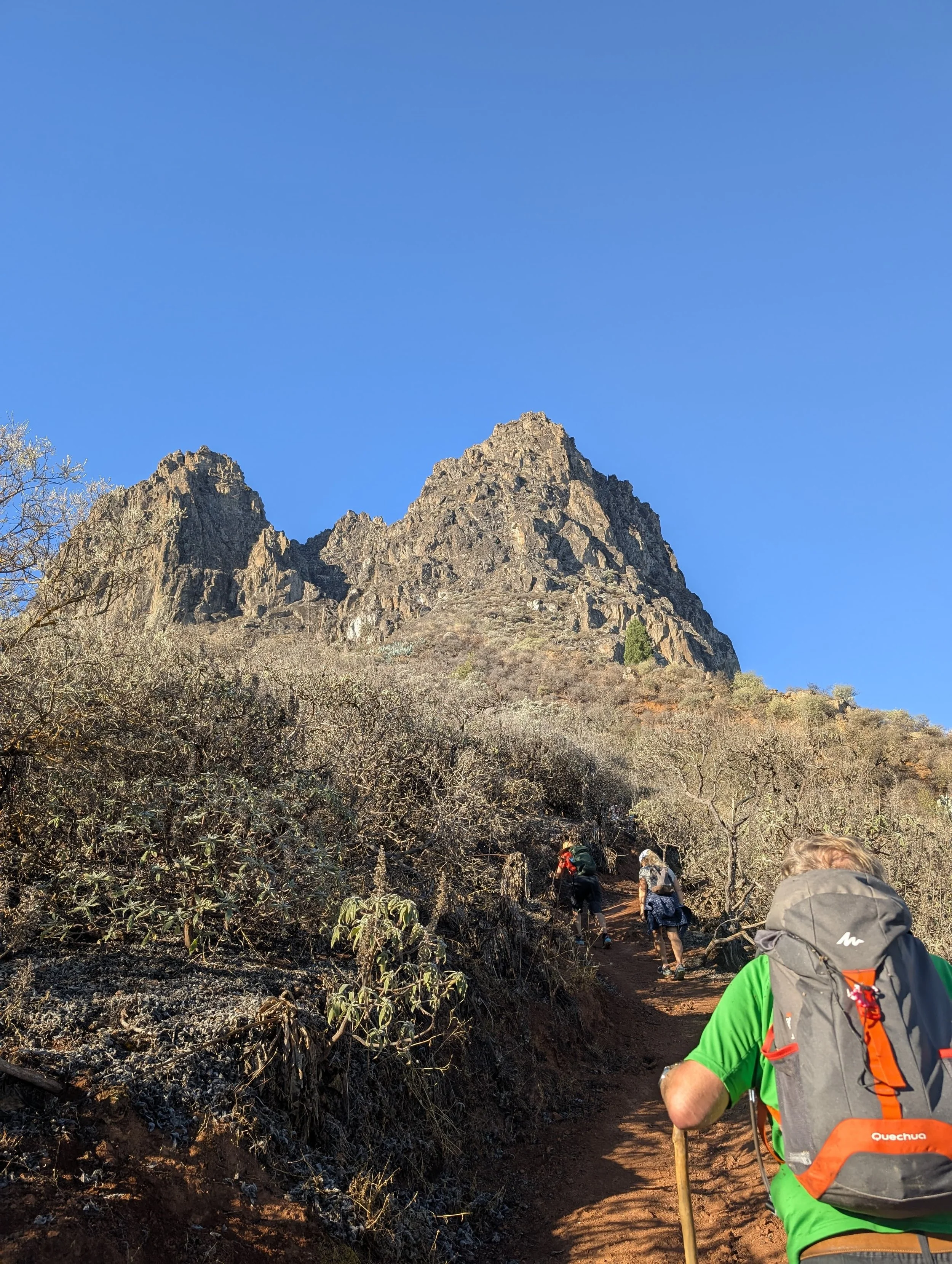 WhatsApp Image 2025-10-26 at 14.47.01.jpeg