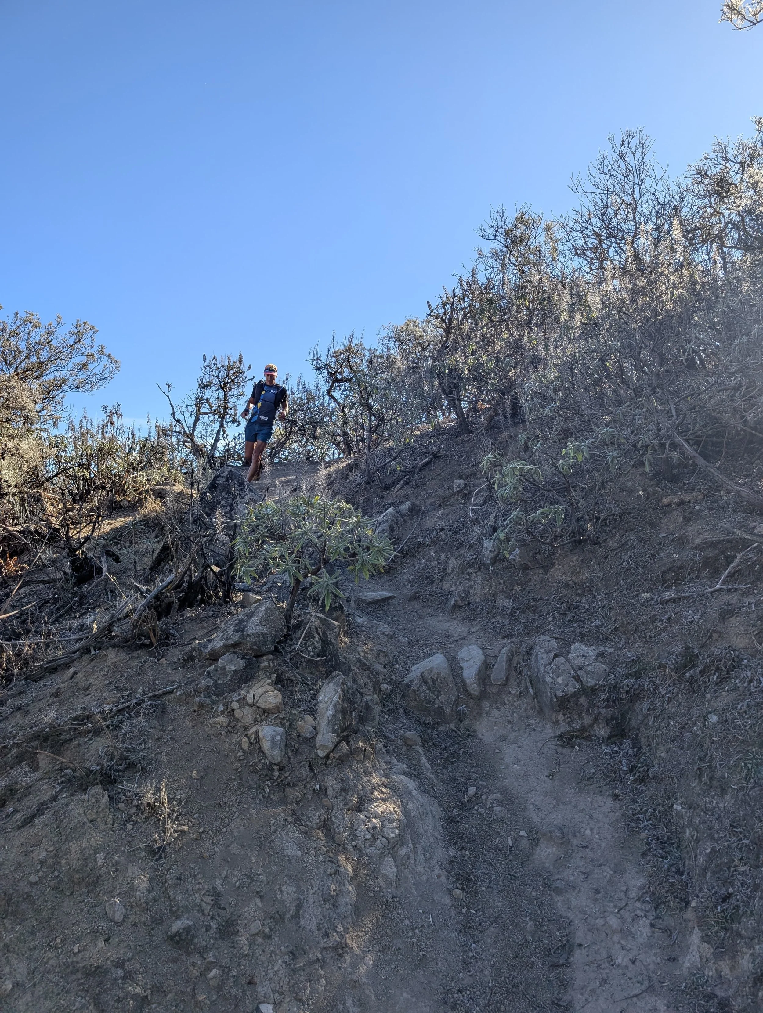 WhatsApp Image 2025-10-26 at 14.47.05 (2).jpeg