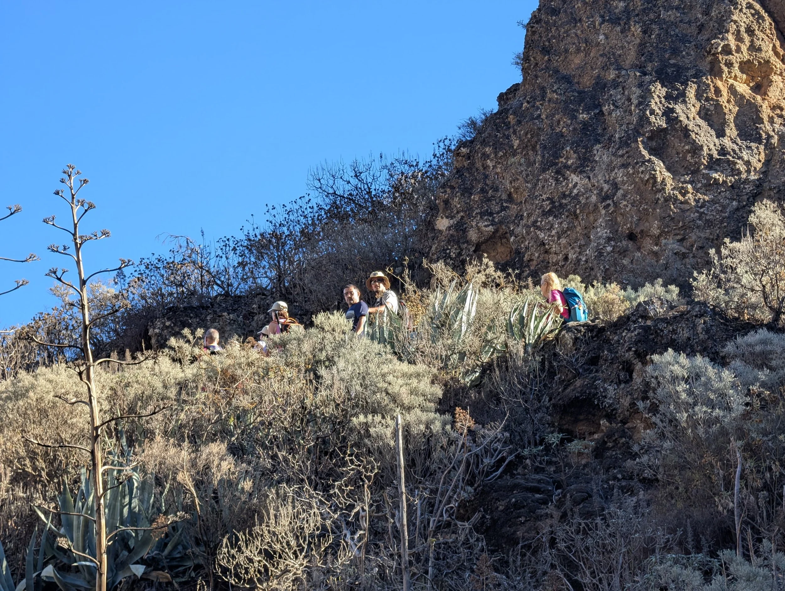 WhatsApp Image 2025-10-26 at 14.47.05.jpeg