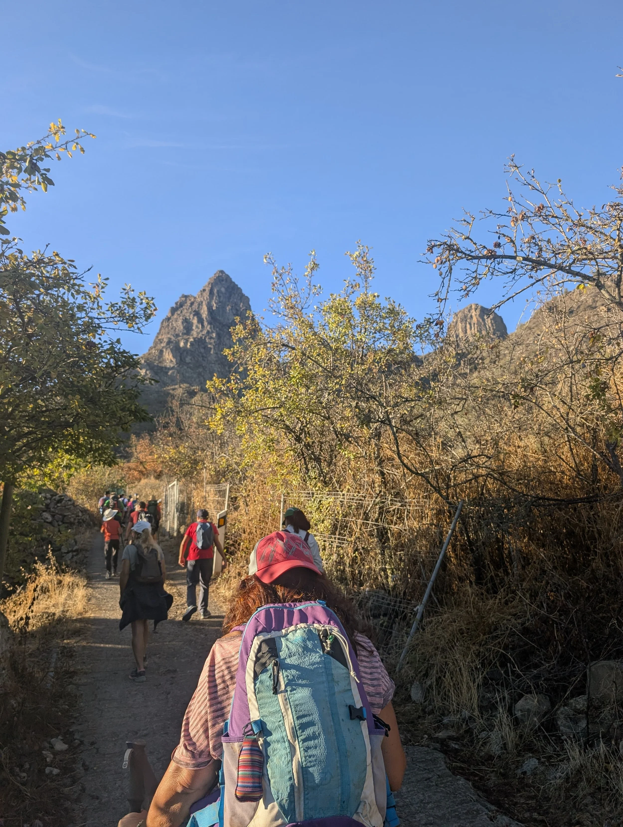 WhatsApp Image 2025-10-26 at 14.47.06 (2).jpeg