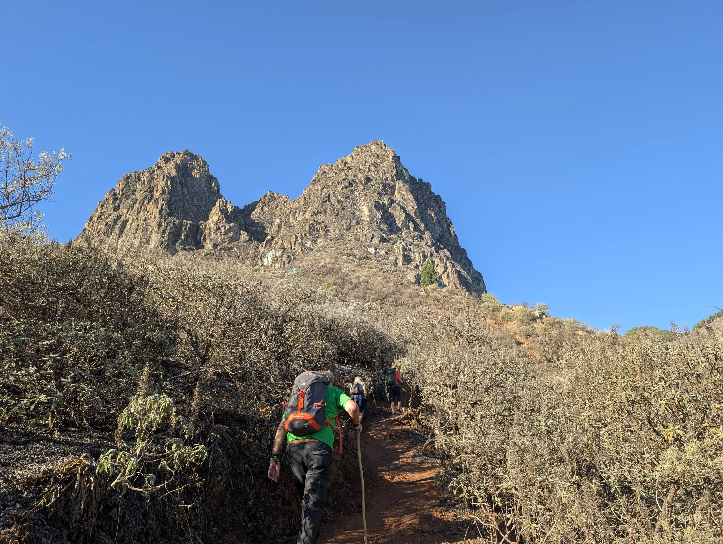 WhatsApp Image 2025-10-26 at 14.47.06.jpeg