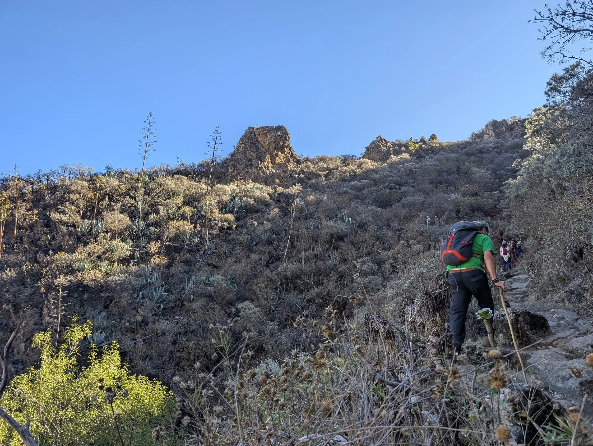 WhatsApp Image 2025-10-26 at 14.47.07.jpeg