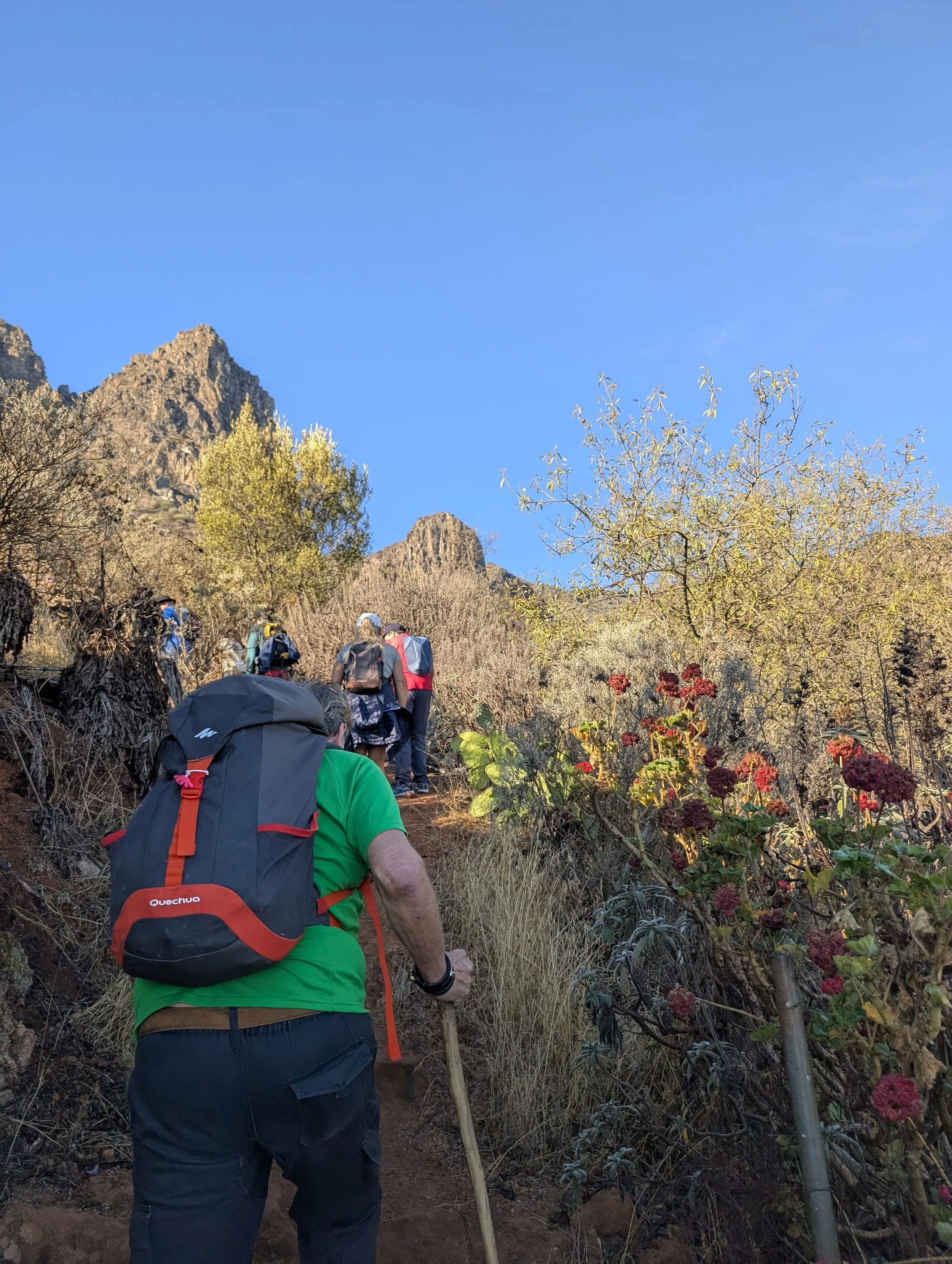 WhatsApp Image 2025-10-26 at 14.47.08 (3).jpeg