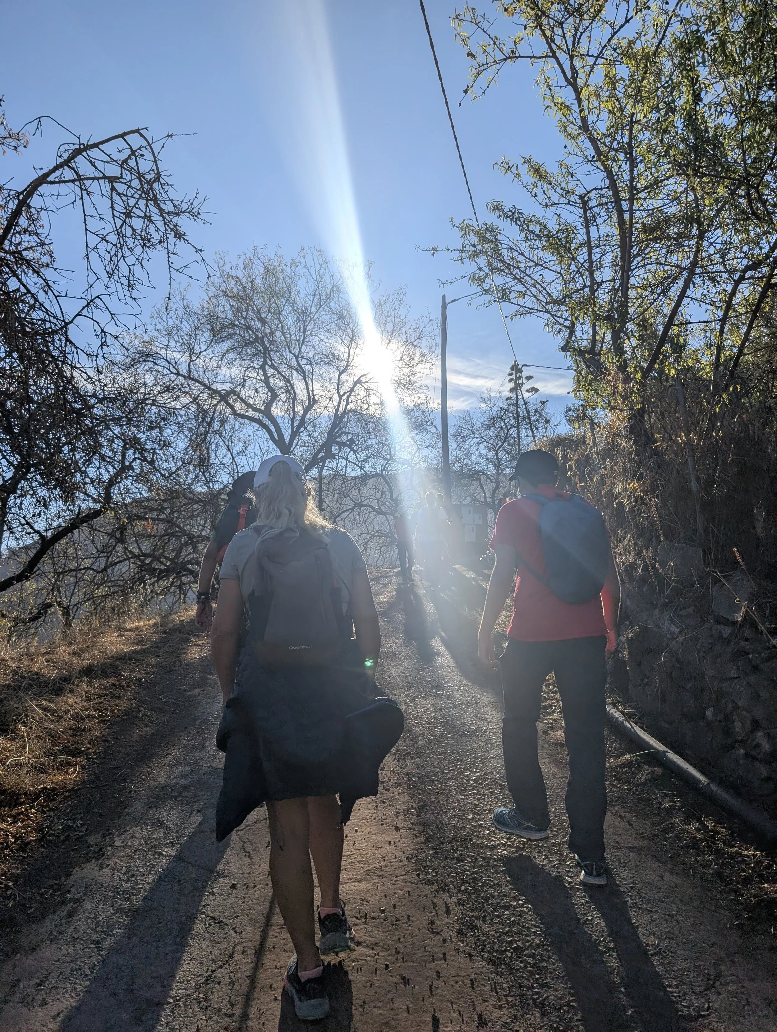 WhatsApp Image 2025-10-26 at 14.47.09.jpeg