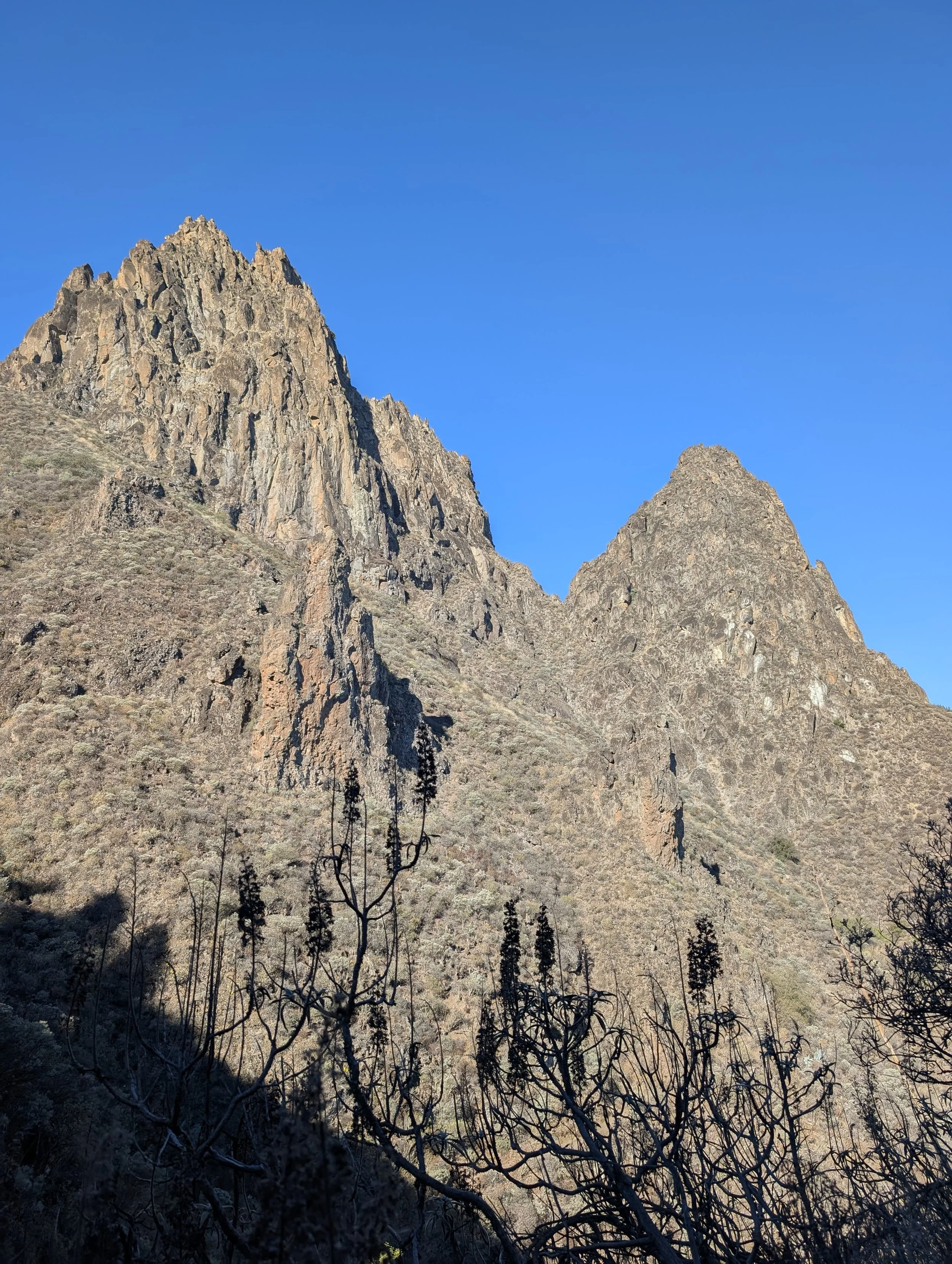 WhatsApp Image 2025-10-26 at 14.47.10 (3).jpeg