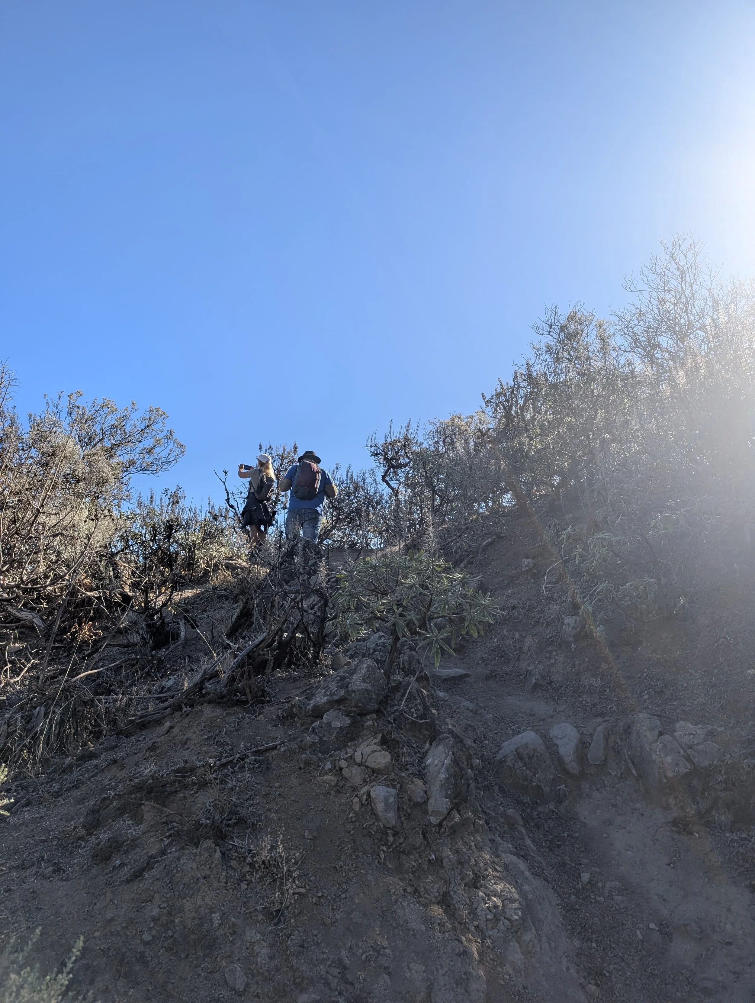 WhatsApp Image 2025-10-26 at 14.47.11 (2).jpeg