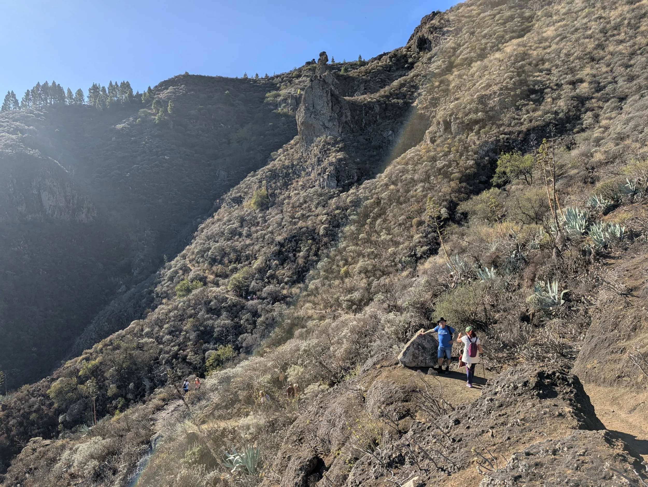 WhatsApp Image 2025-10-26 at 14.47.11 (1).jpeg