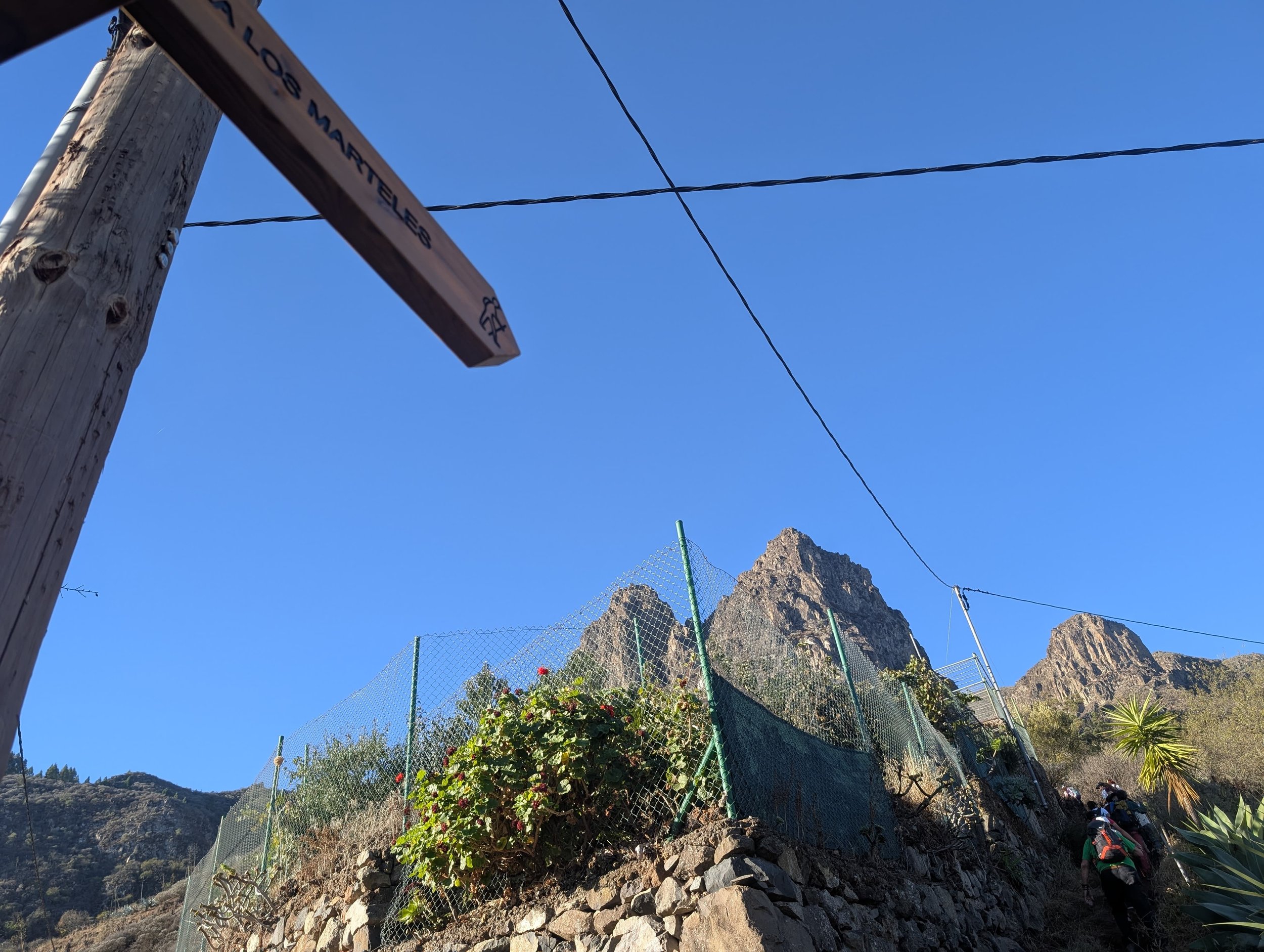 WhatsApp Image 2025-10-26 at 14.47.11.jpeg