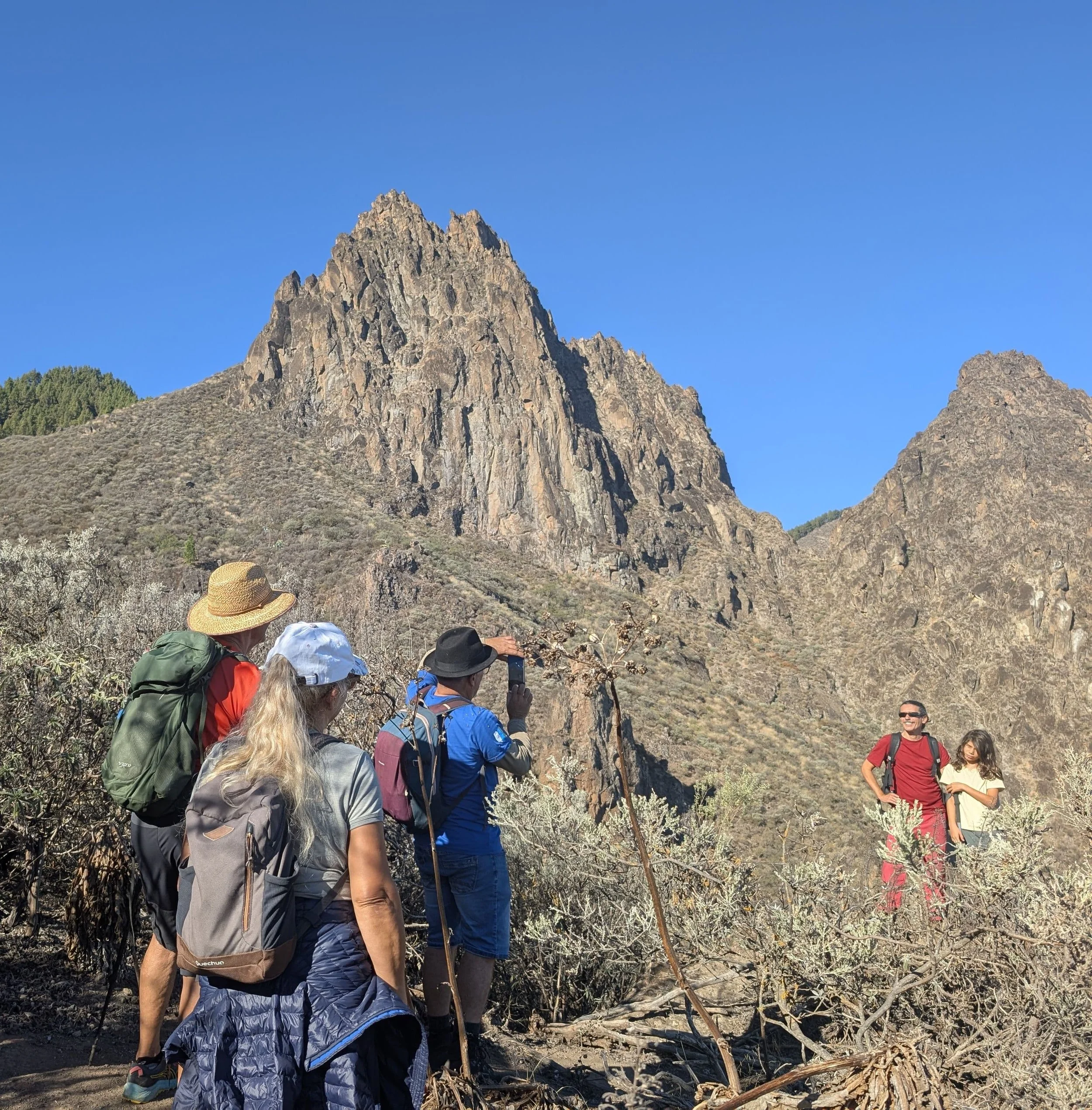 WhatsApp Image 2025-10-26 at 14.47.12.jpeg