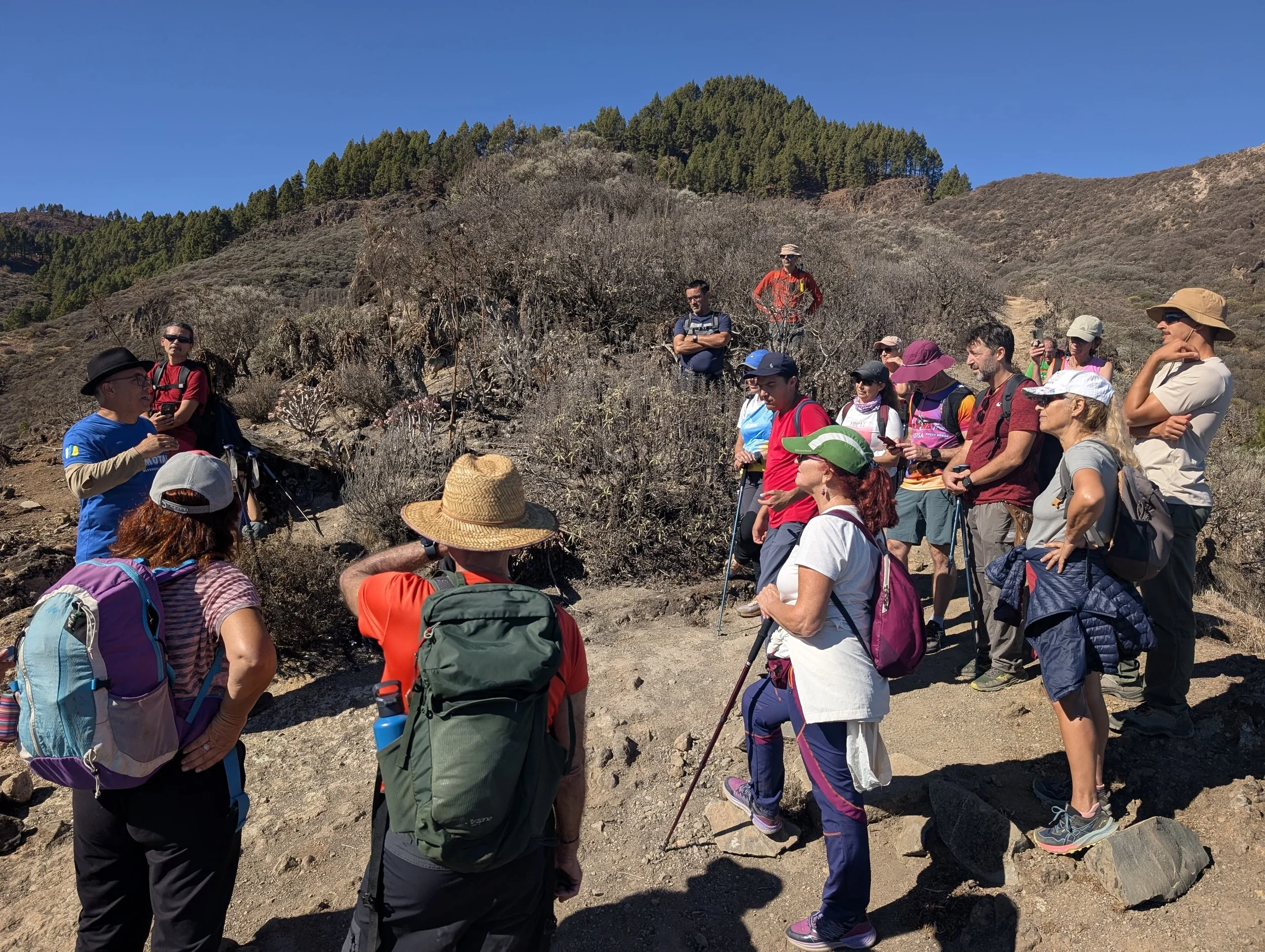 WhatsApp Image 2025-10-26 at 14.47.16.jpeg