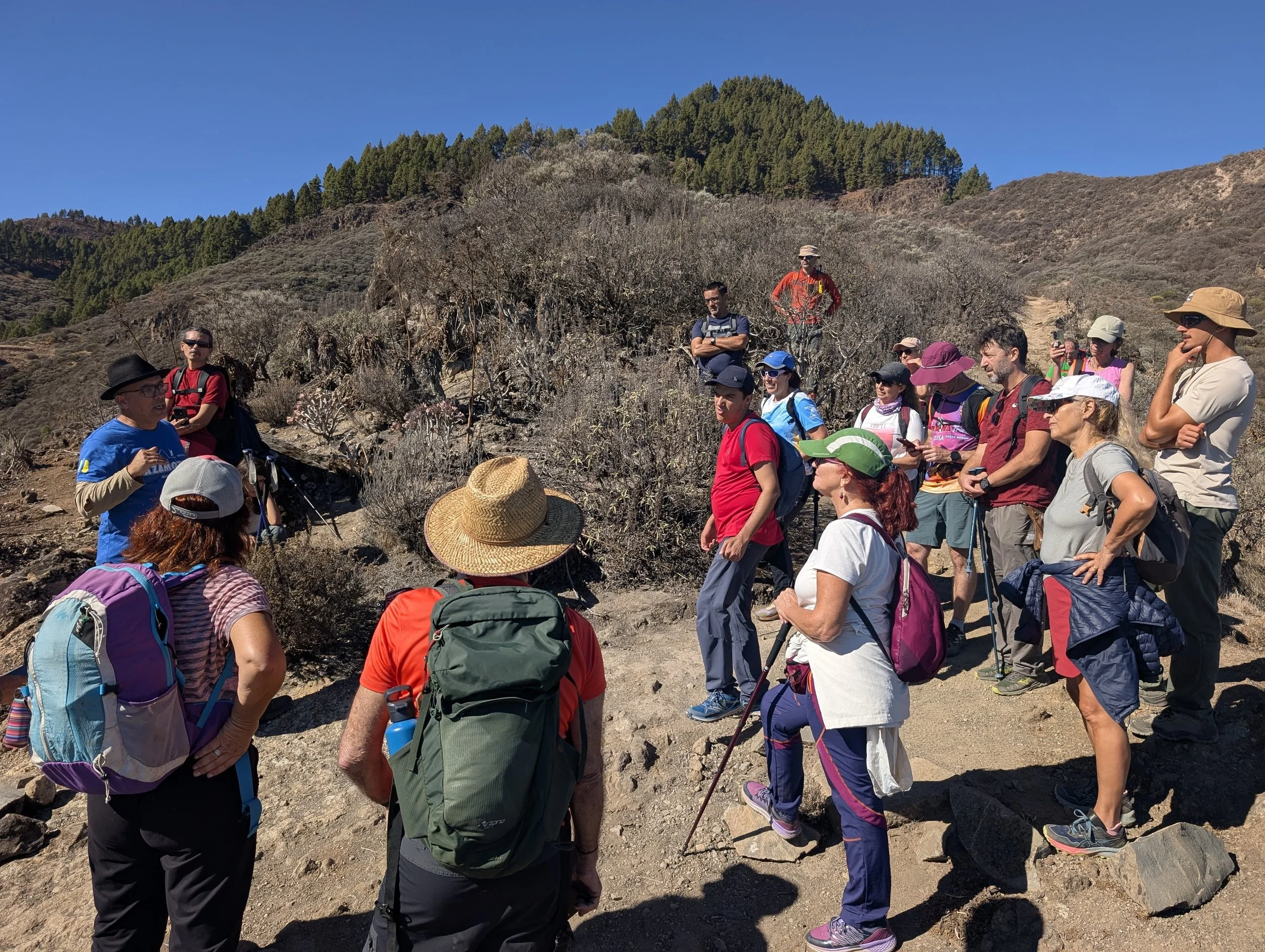 WhatsApp Image 2025-10-26 at 14.47.20.jpeg