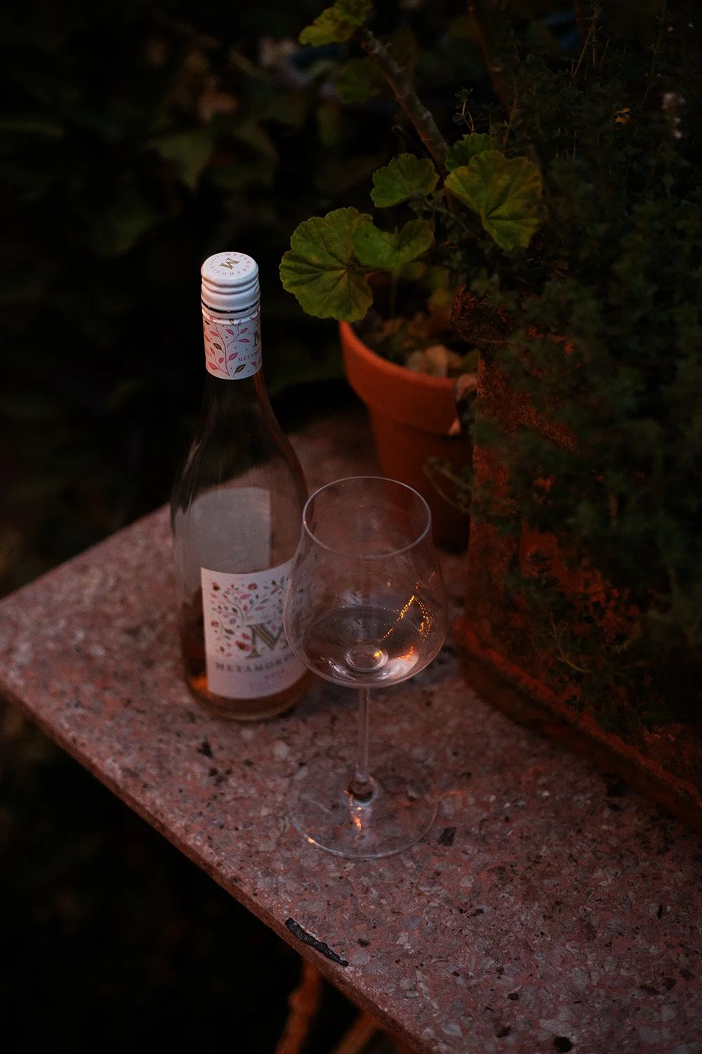 The Dinner Party Guide_Jess Murphy_6151.jpg