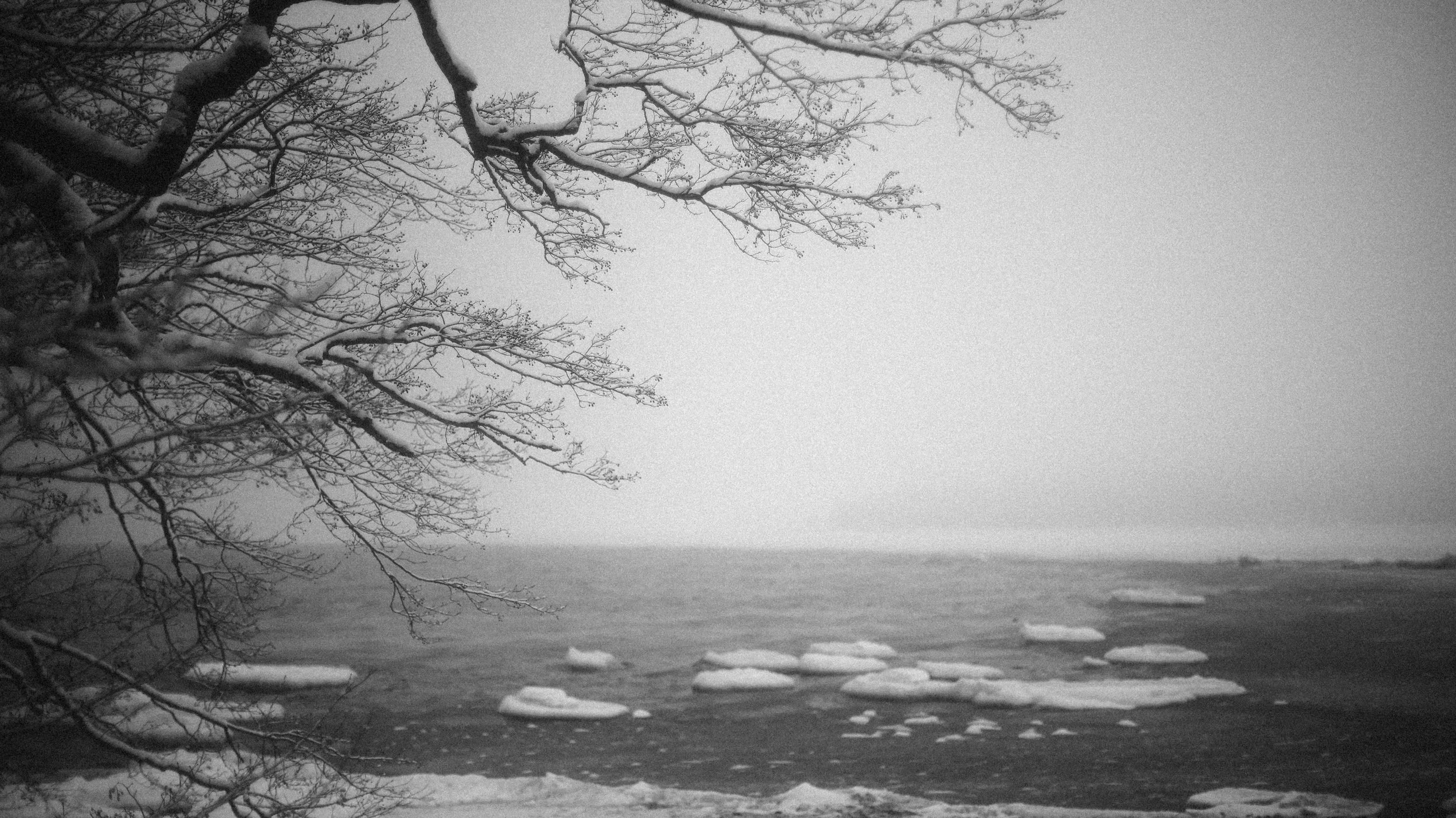 Black and white photo from Lauttasaari - Drumsö. Taken with a Canon R6 + Canon EF 50mm f/1.2L USM