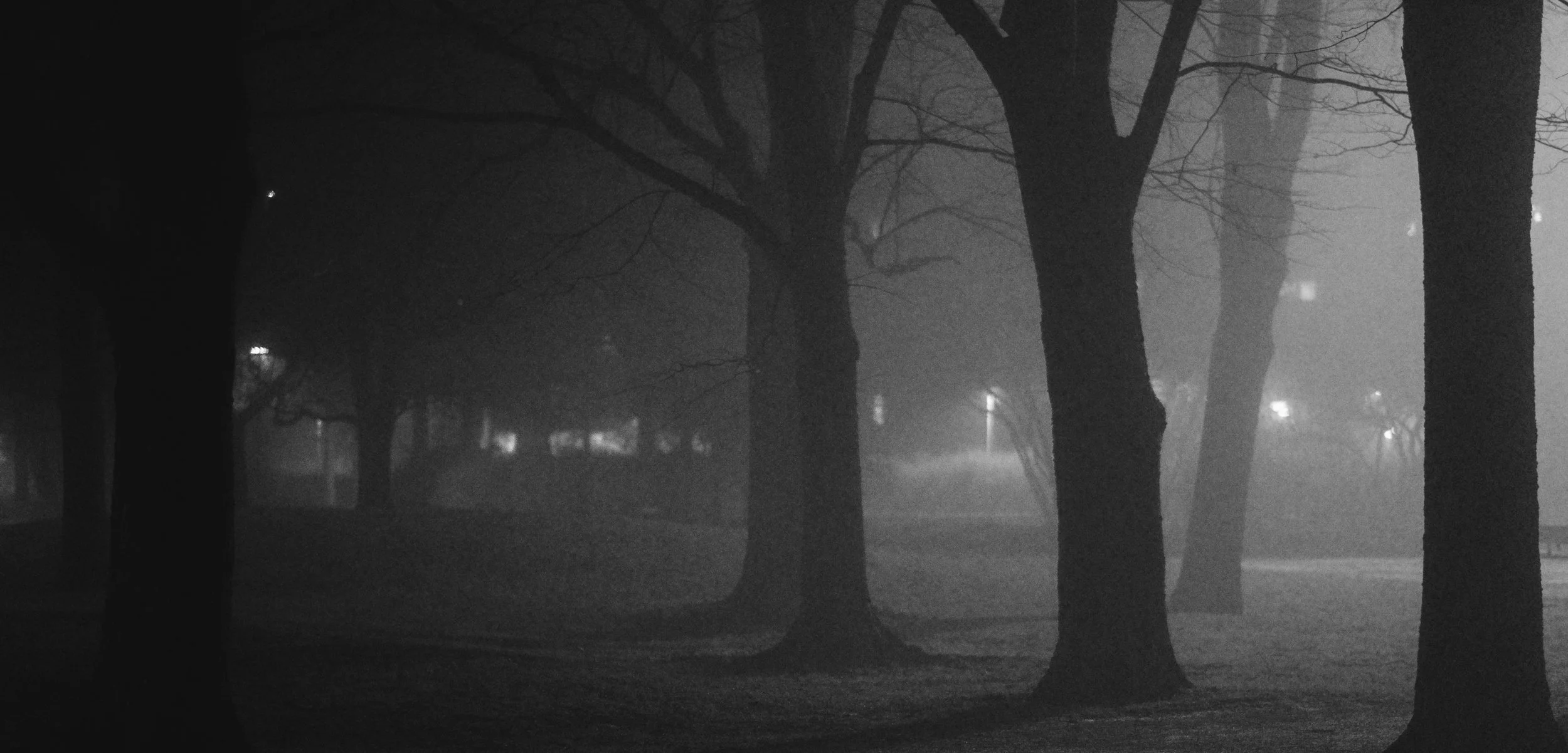 Photo taken with Fujifilm X-Pro2 and 35mm f/1.4 lens