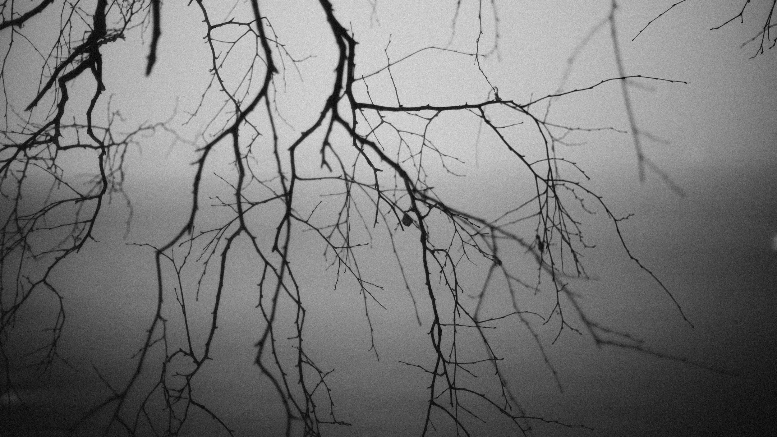 Black and white photo from Lauttasaari - Drumsö. Taken with a Canon R6 + Canon EF 50mm f/1.2L USM