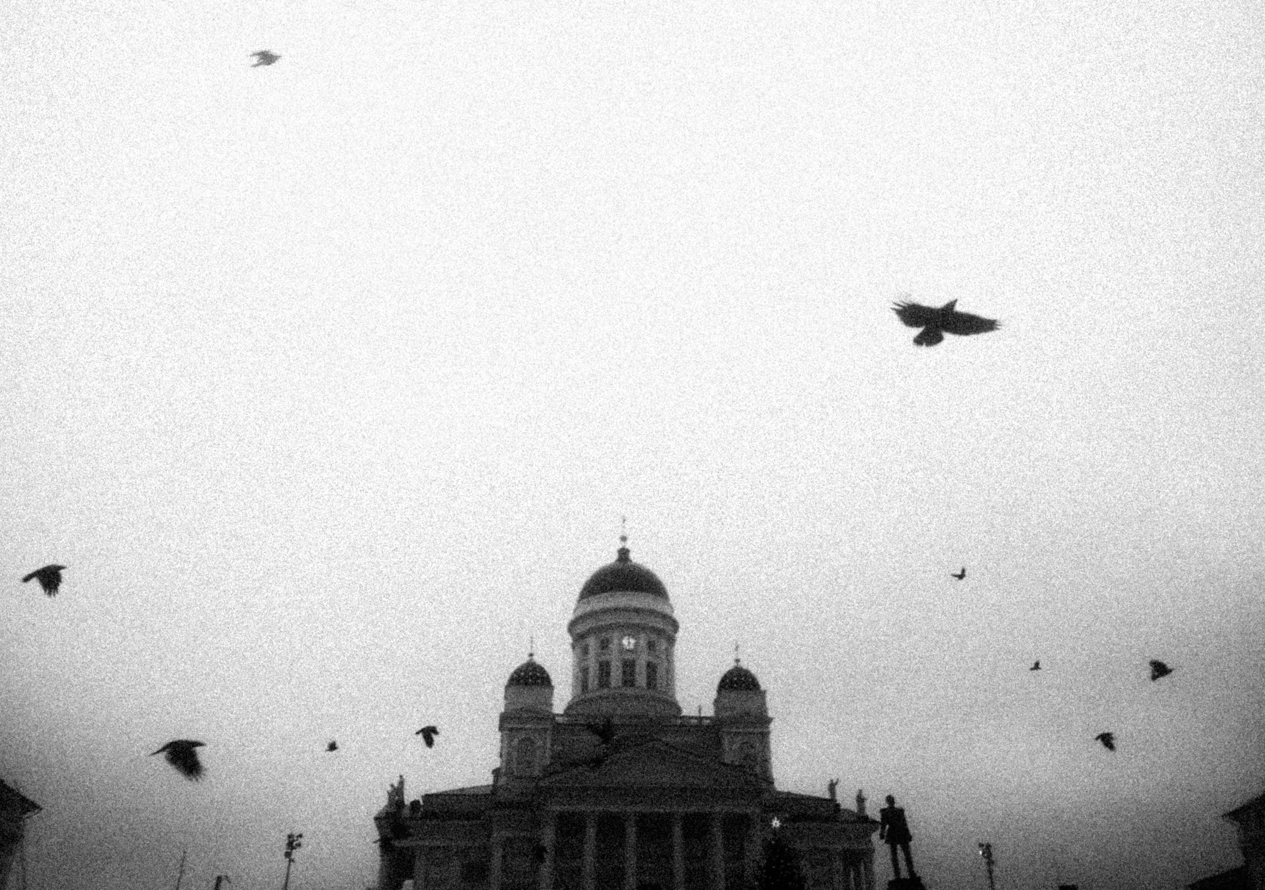 Black and white photo of a large historical building with domes and columns, with birds flying in the sky above.