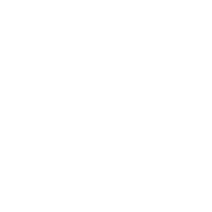 Tracé circulaire blanc représentant le Logo GENESIS.