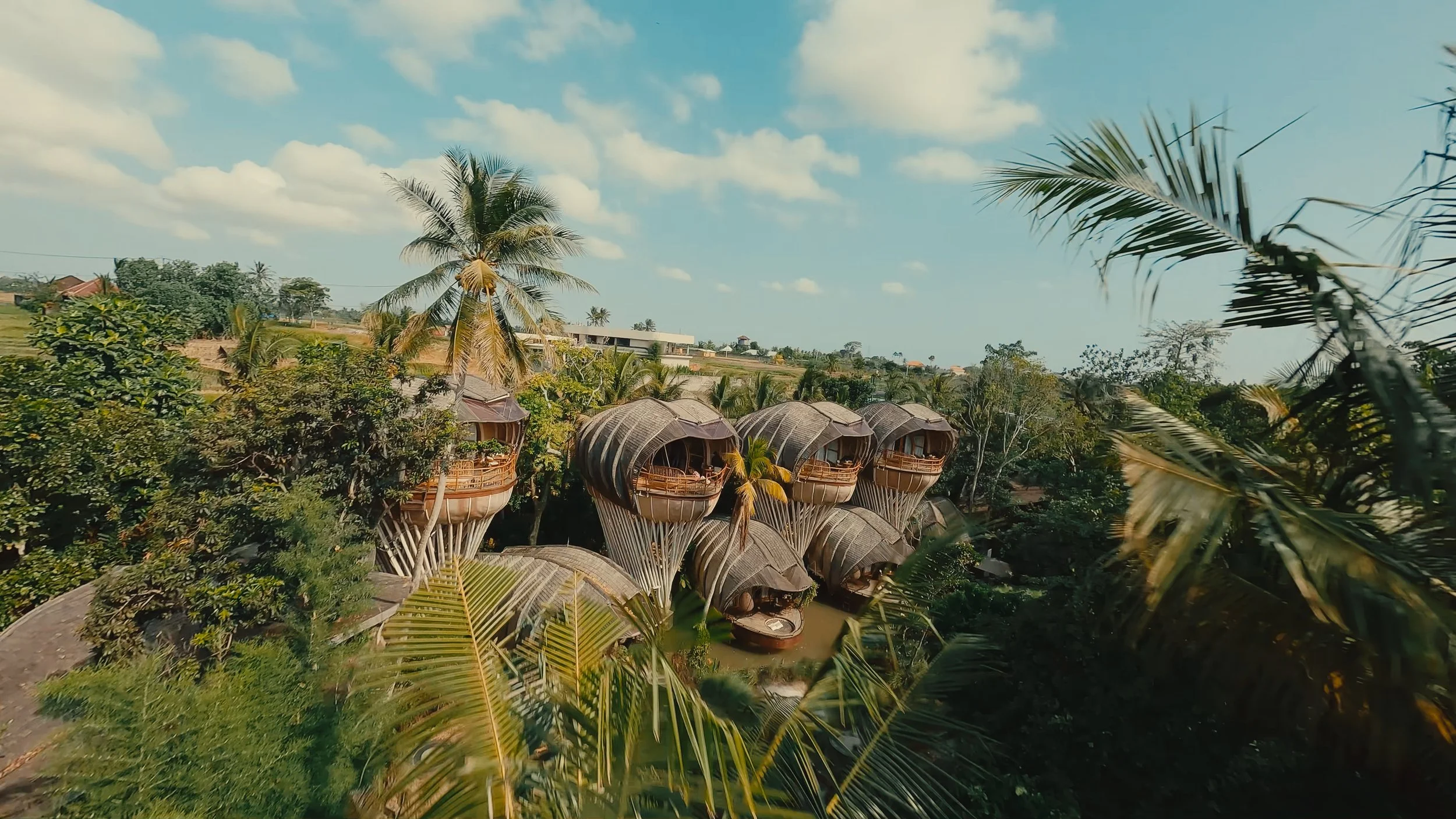 Villas sur pilotis en forme de fleurs dans une forêt tropicale.