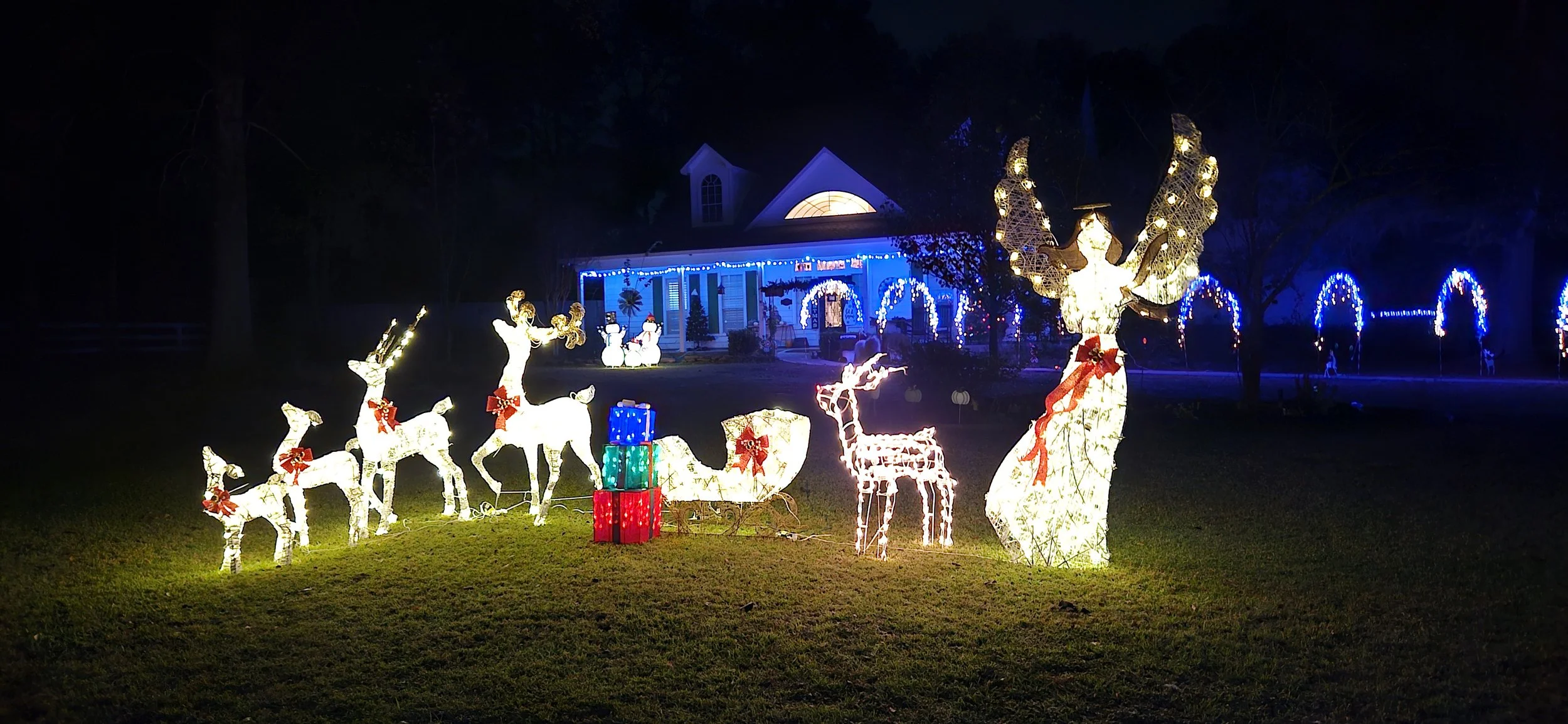 20241209_201438 - Mary Rediess (1).jpg