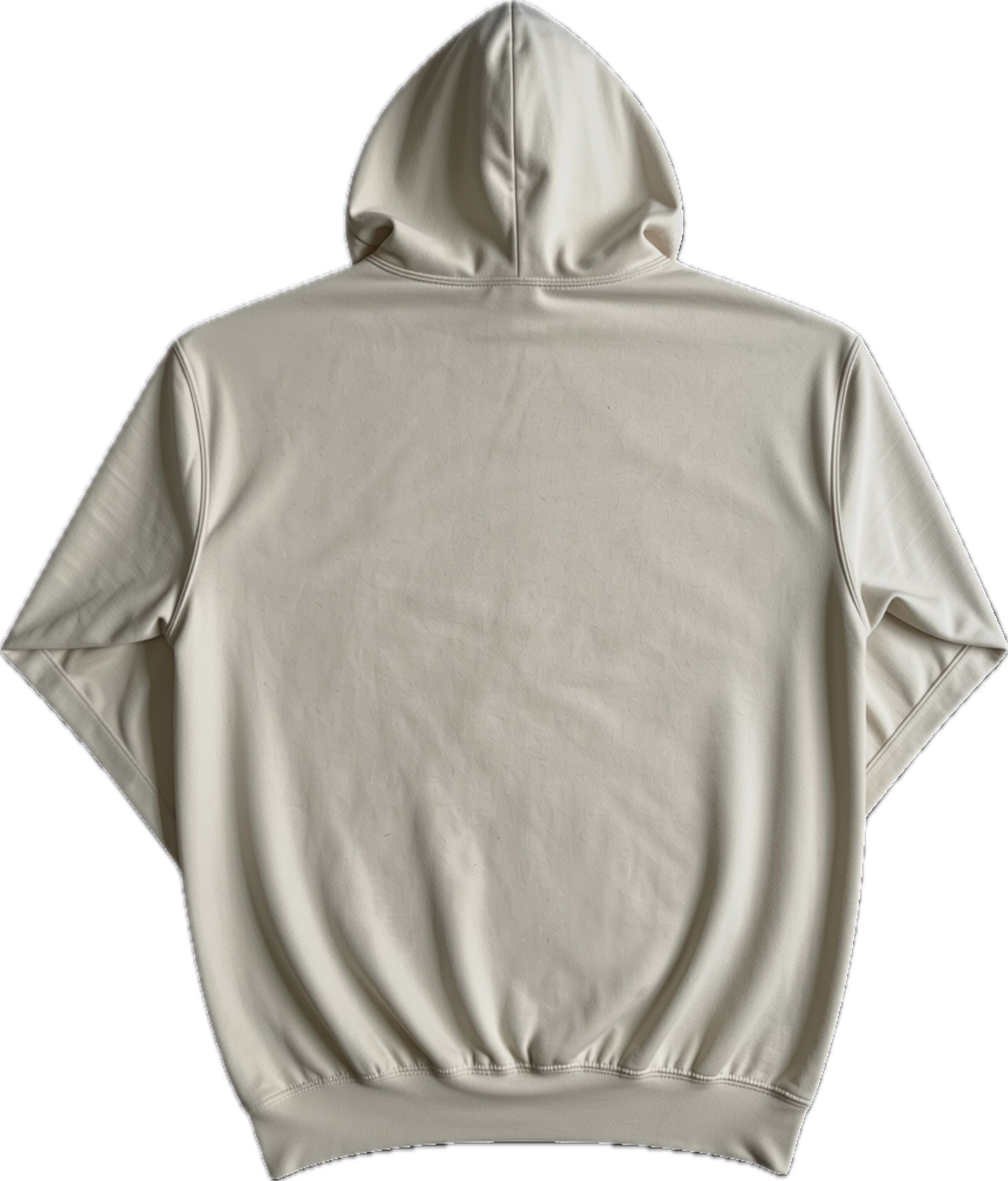 Lion and Lamb back.png