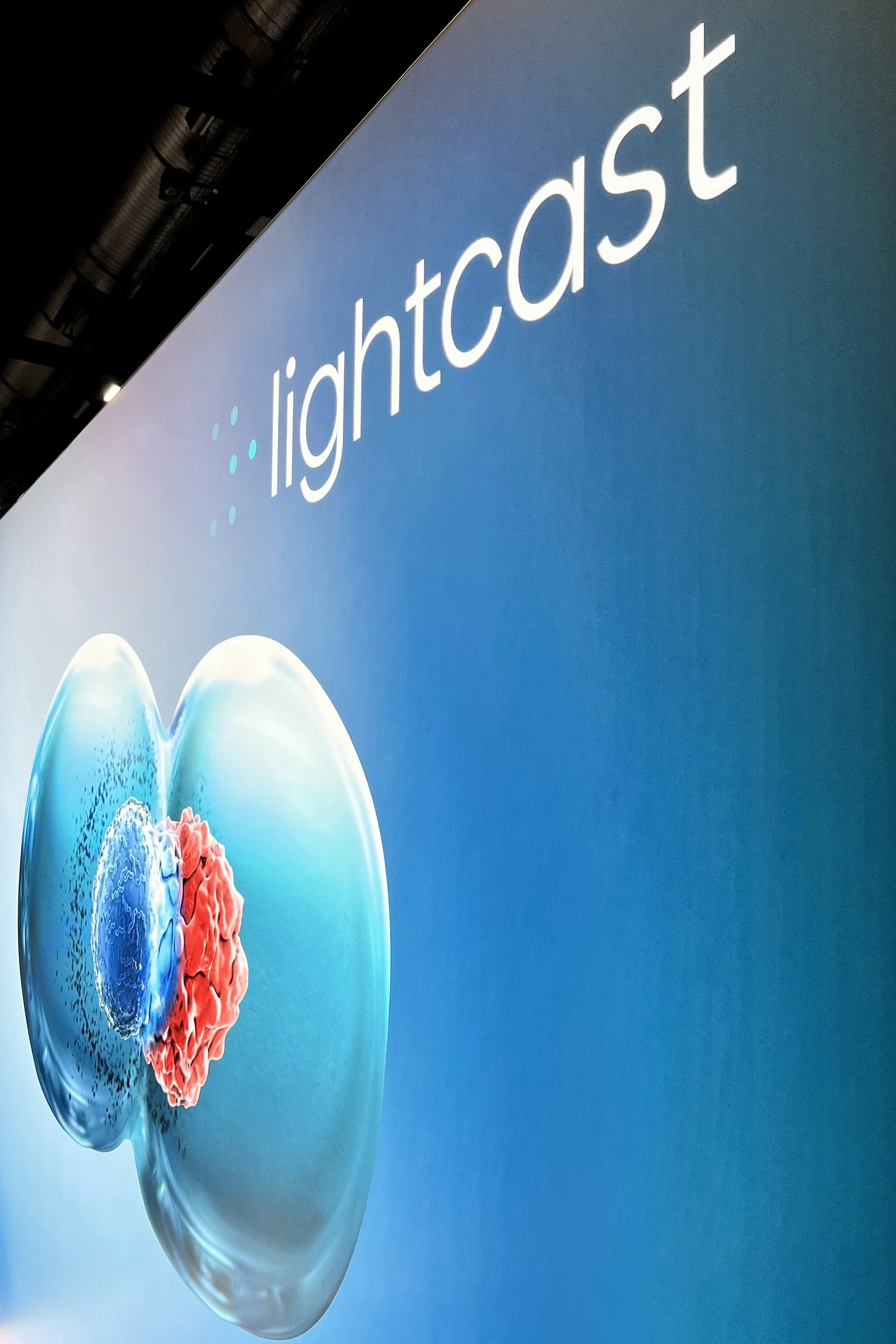 Close-up of a digital display showing the word 'lightcast' with a blue logo of six dots arranged in a hexagon to the left of the text, and an artistic representation of a human head and brain with glowing effect on the left side of the display.