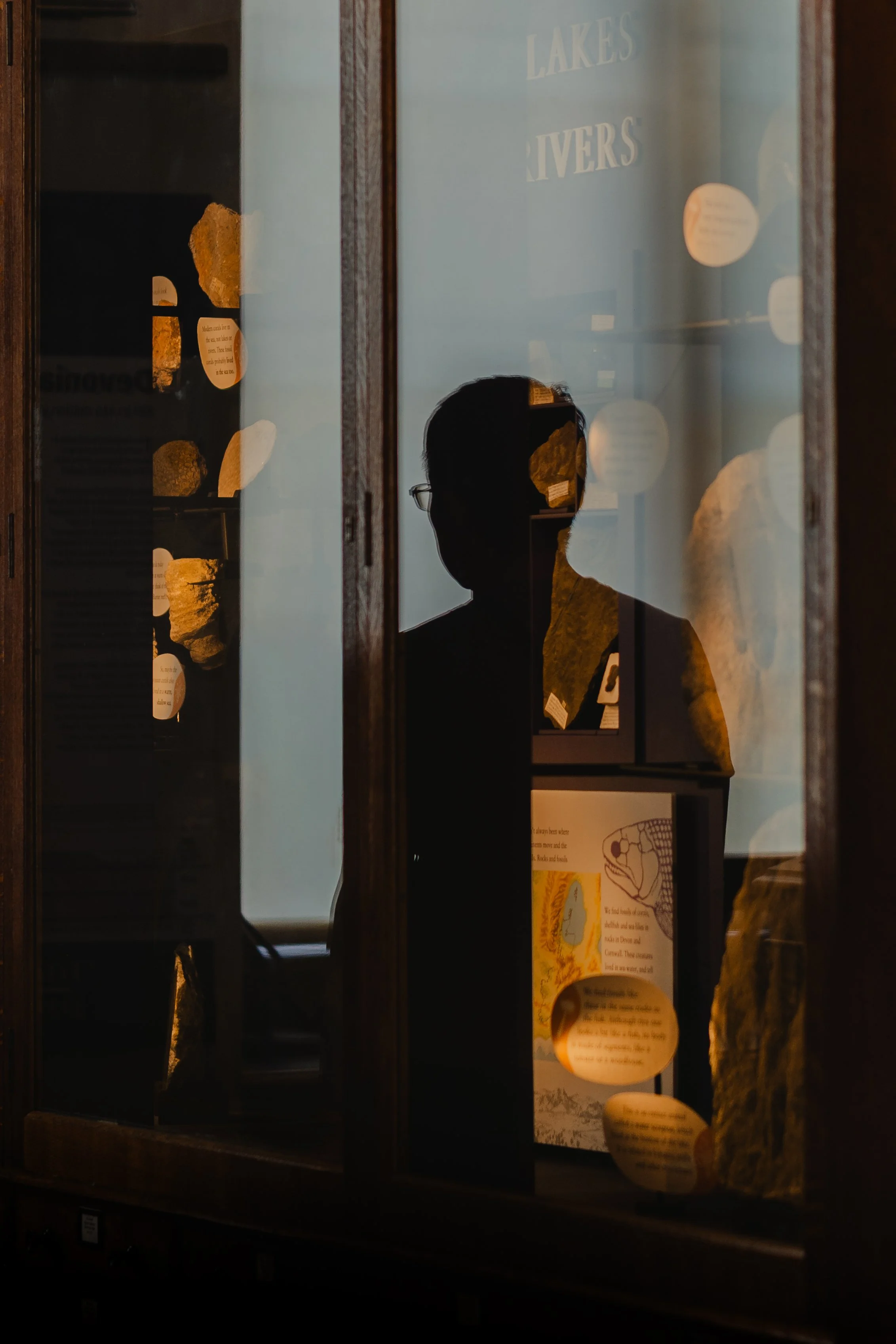 Silhouette of a person looking at display case with rocks and informational posters inside a museum.
