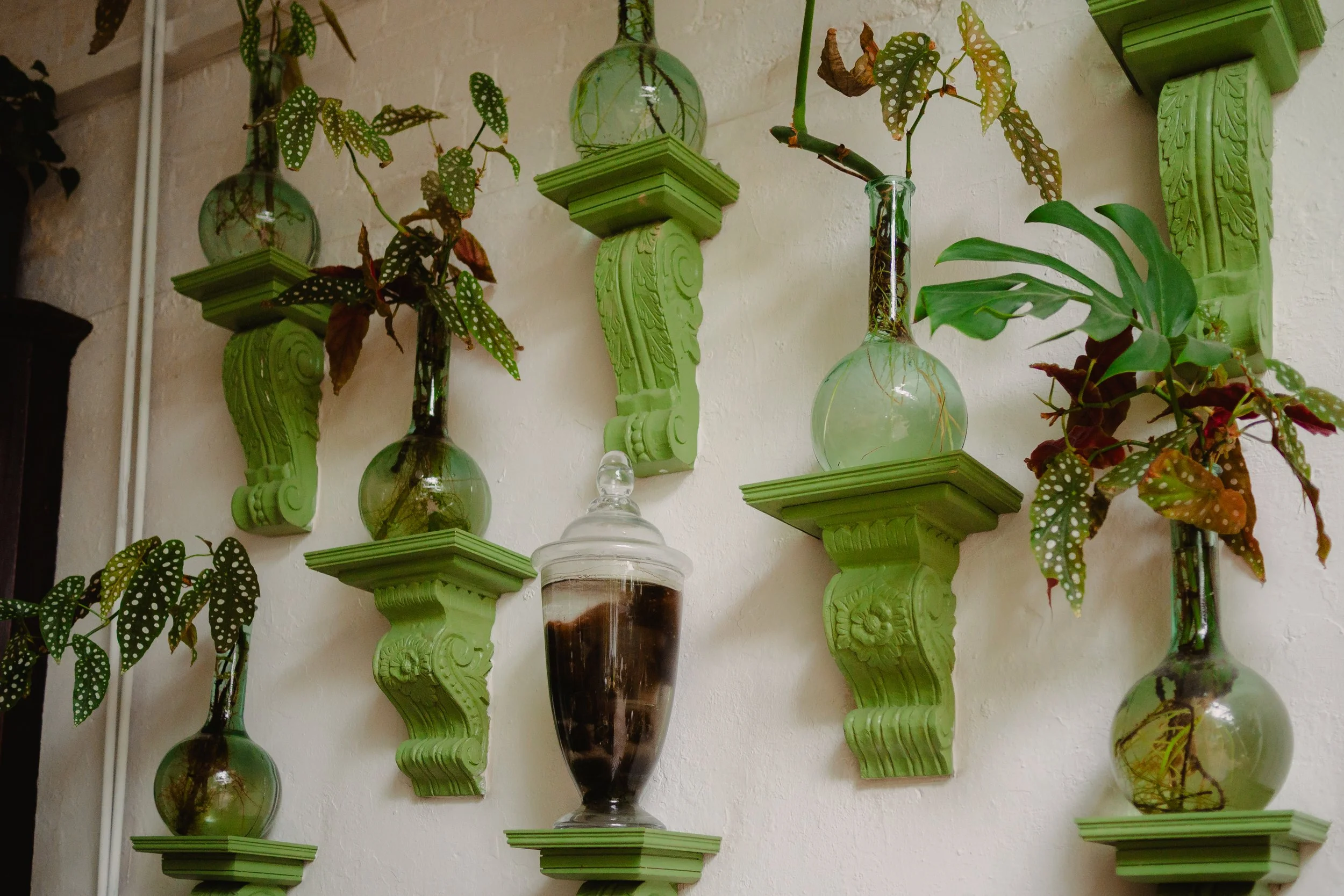 Multiple green wall brackets holding glass vases with green and patterned leaves, and a tall glass jar with dark substance.