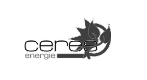 Logo des Unternehmens 'cene energie' mit einem blattähnlichen Design in Schwarz und Weiß.