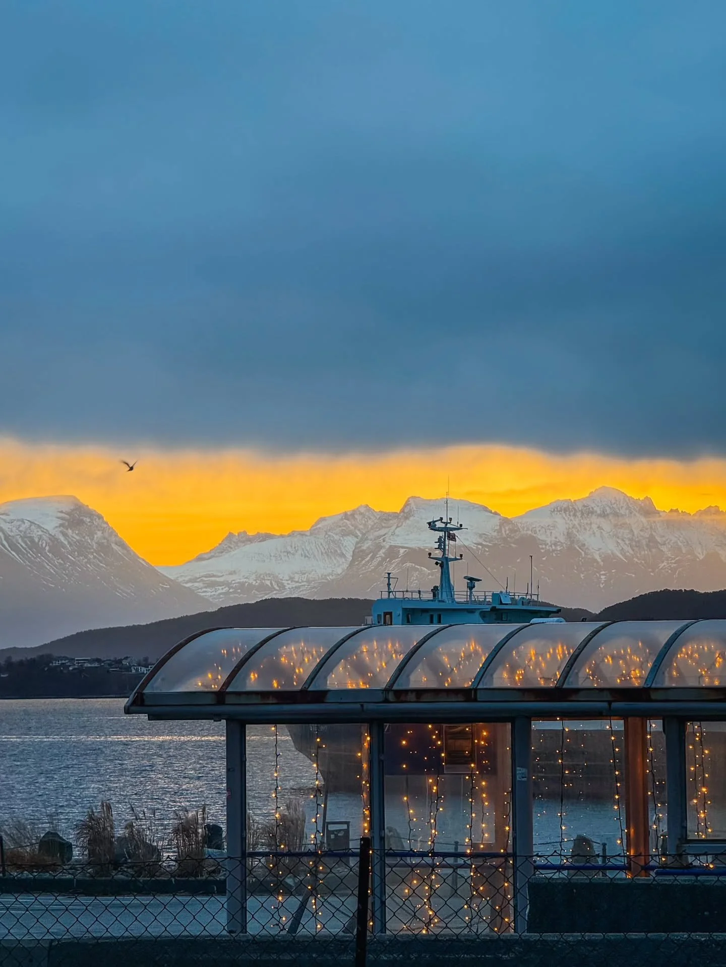 Lystunellen har gjort sitt for denne sesongen ✨️ 

Vi h&oslash;rer fra flere at man synes det var trist at vi tok den ned 🥺 Men vi m&aring;tte ta den ned for vedlikehold og ikke minst for bevaring 😊

P&aring; denne m&aring;ten kan vi s&oslash;rge f