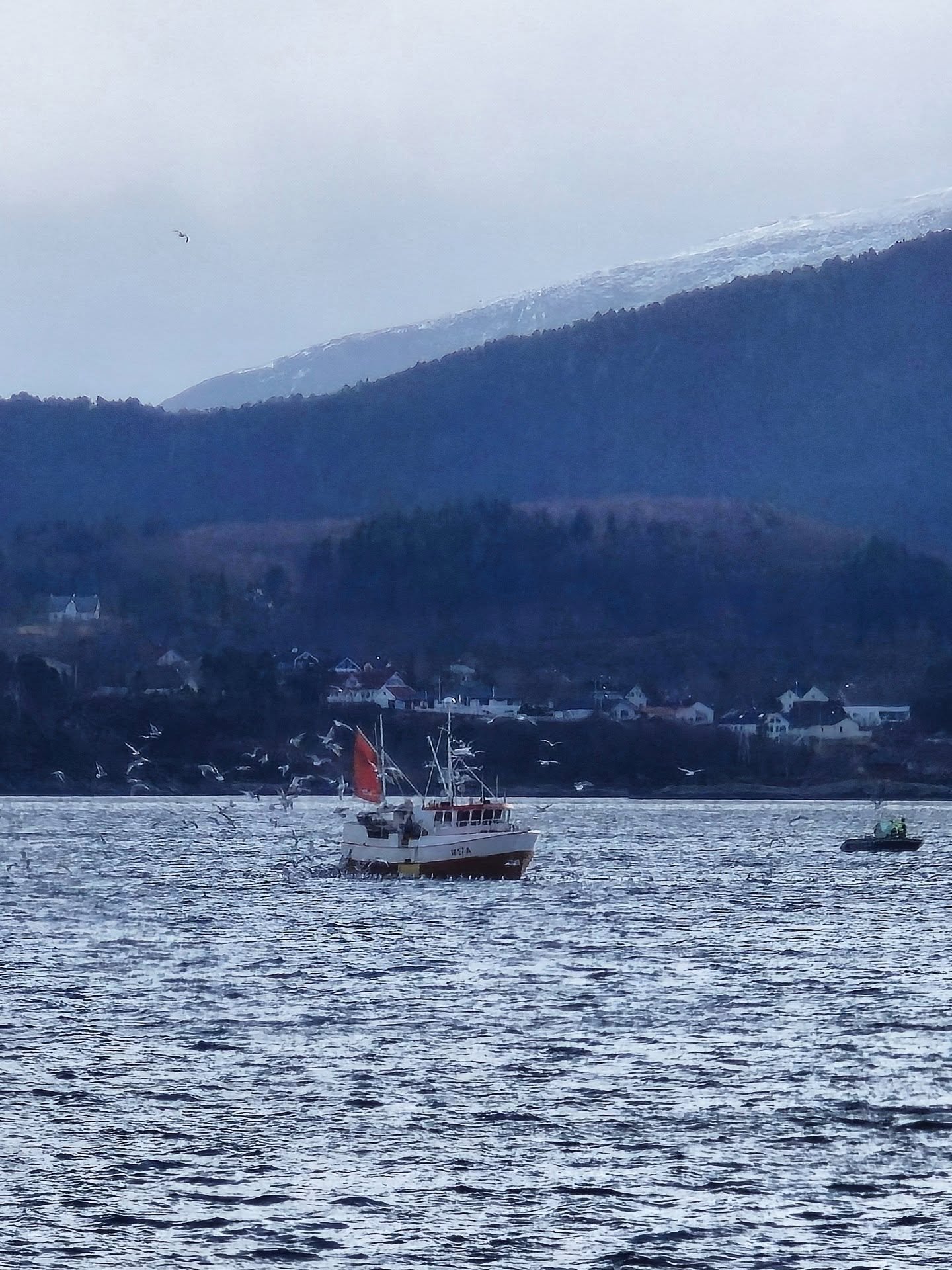 🌊 Et sikkert v&aring;rtegn i &Aring;lesund 🐟

Du kjenner du er hjemme n&aring;r sj&oslash;spr&oslash;yten treffer ansiktet, saltet ligger i lufta, m&aring;sene skriker over bygrunna, og lukta av fisk blander seg med frisk sj&oslash; 🐟

Det er noe 