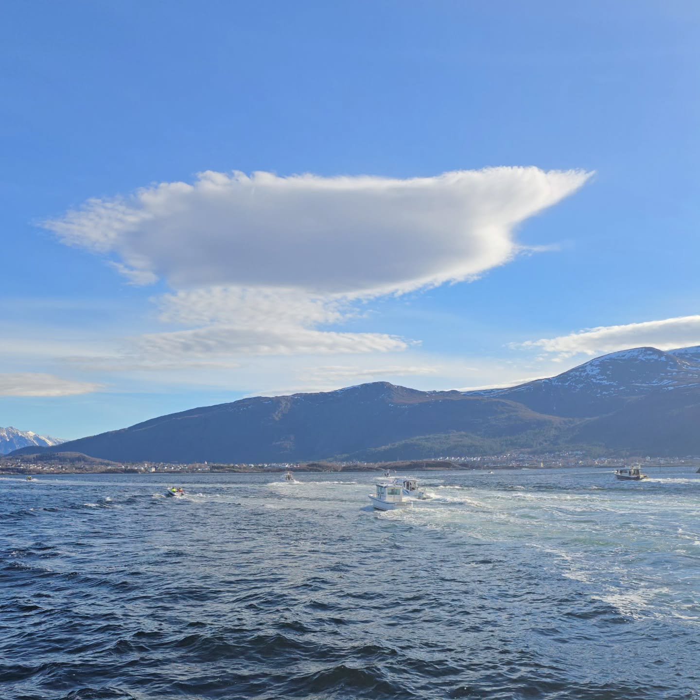 Startskuddet for Bytorsken i lett b&oslash;lgebris og under bl&aring; himmel 🌊🐟

Tusen takk til alle deltakere og publikum 🙌