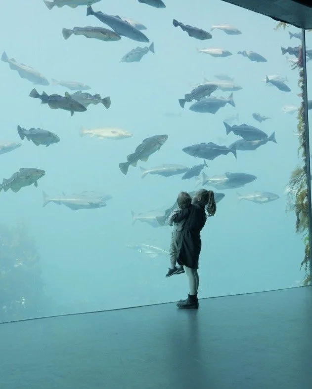 🐣 Hva skjer i &Aring;lesund i p&aring;sken?

Det korte svaret: mye 💛

Byen fylles med alt fra fargerike p&aring;skeverksteder og eggjakt for de minste, til gode smaker, rolige &oslash;yeblikk ved sj&oslash;en og kvelder med skikkelig klubbstemning.