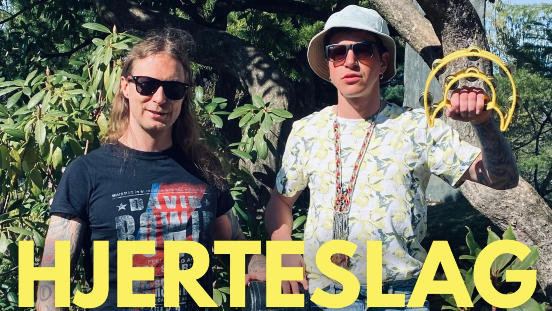 HJERTESLAG