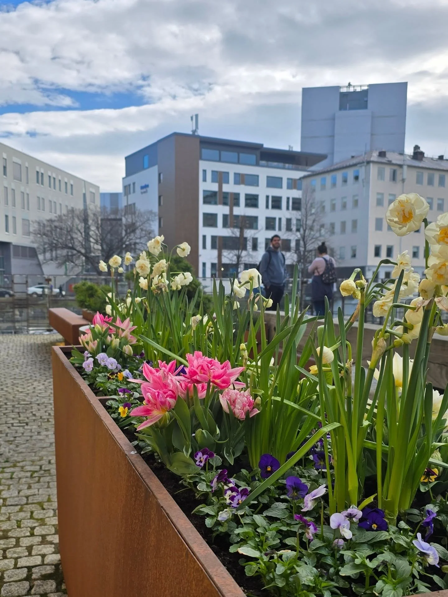 V&aring;rstemning i byen 🌸