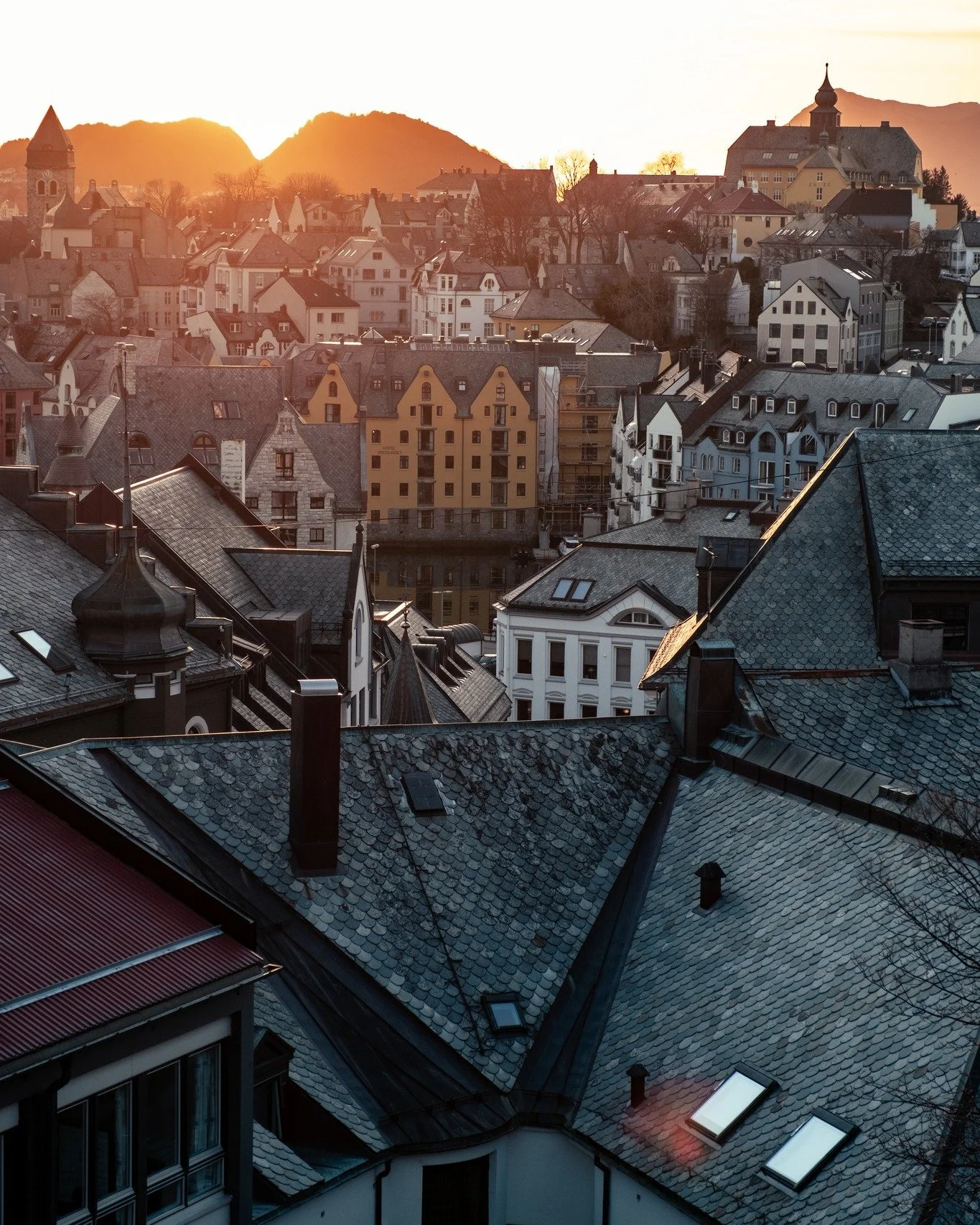 Vi &oslash;nsker alle en riktig fin 1.mai 🌿

For de som &oslash;nsker markeres dagen med musikk og innslag fra Kulturskolen, allsang, historiefortelling og enkel servering i r&aring;dhussalen fra kl. 11.00🌹