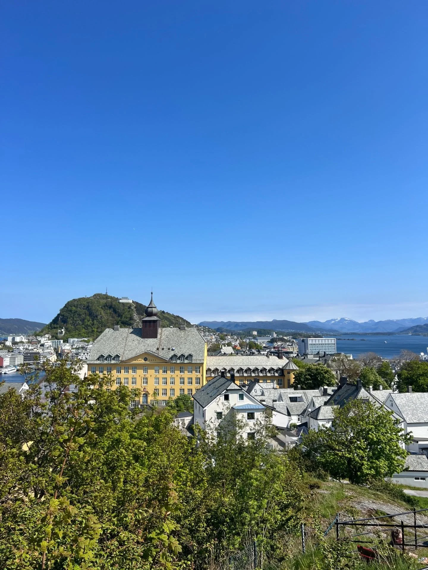 &Oslash;nsker dere en riktig god s&oslash;ndag, nyt den gjerne p&aring; tur gjennom byens gr&oslash;nne oaser 🌳