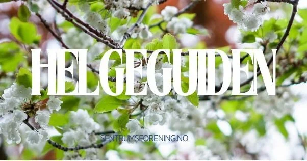 Helgen st&aring;r for d&oslash;ren, og det er bare &aring; rydde, gj&oslash;re klart hus og hage &ndash; for n&aring; er det endelig nasjonaldag✨ 17. mai er en av &aring;rets store h&oslash;ydepunkter, og byen fylles med liv, tradisjoner og gode &osl