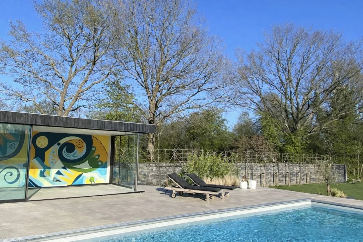 Carlijn Murals zwembad.png