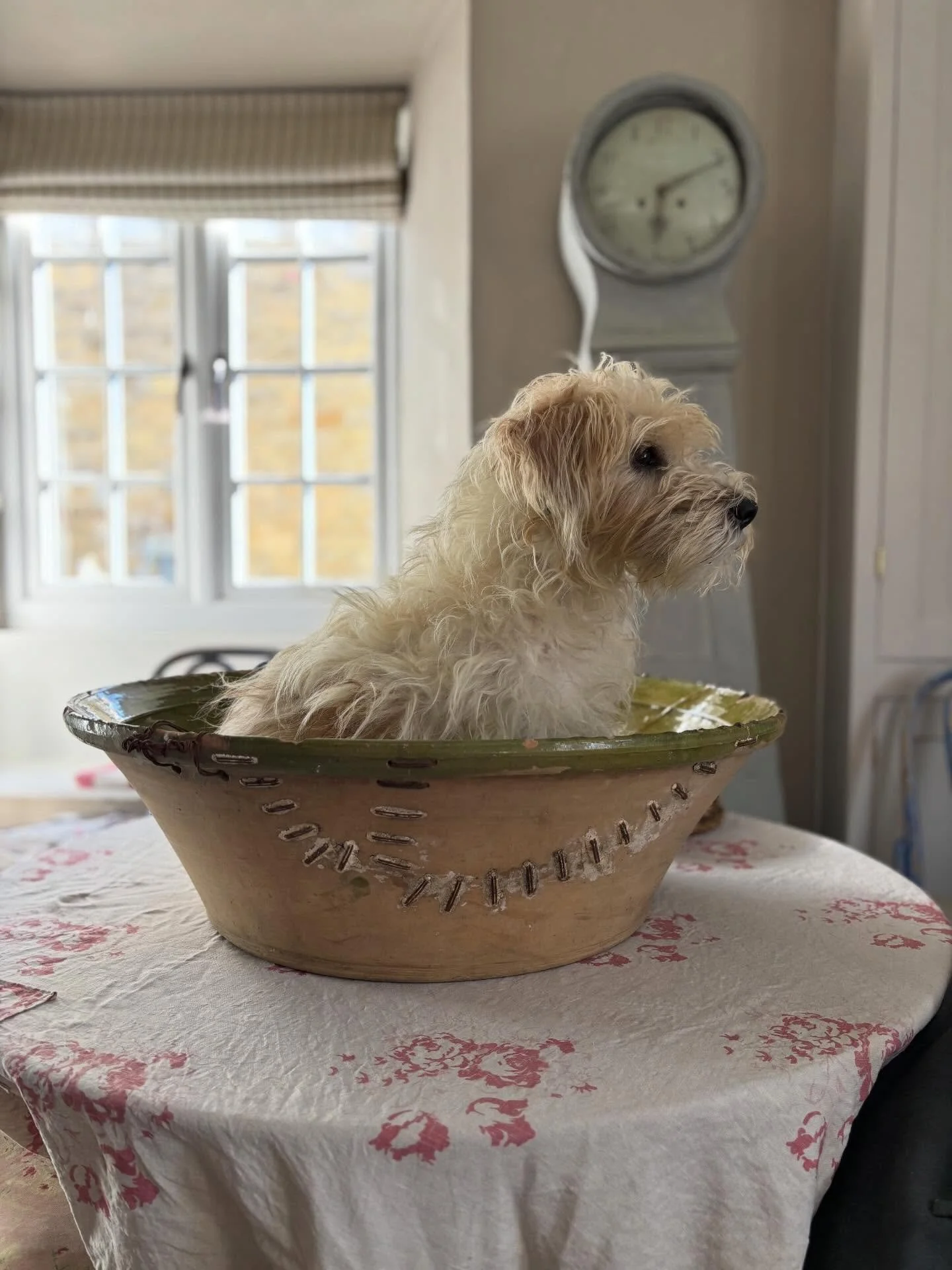 The largest olive bowl I&rsquo;ve ever seen. Made extra special not just with Dave but the amount of repair staples holding it together.

#interiordesign #makedoandmend #olivebowl #visiblerepair 
#decorativeantiques
