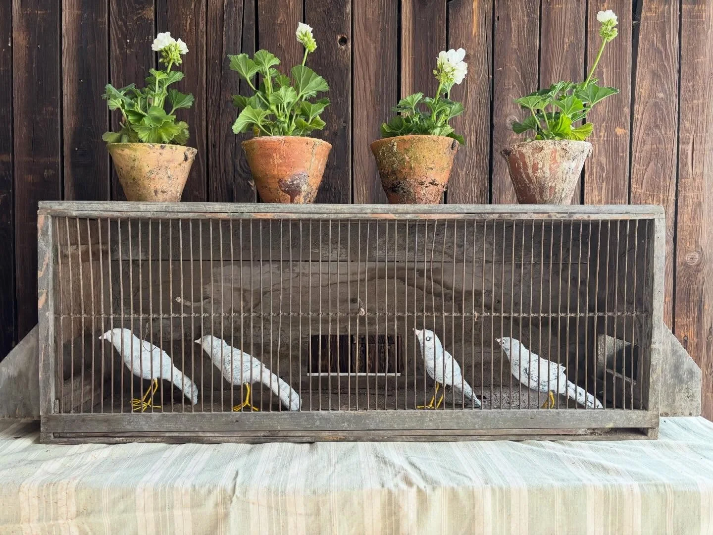 The sunshine is just so gorgeous. As are geraniums in sap pots, artisan cloth birds and a rustic cage ☀️ 

#frenchantiques #interiordesign #interiorstyling #cotswolds #antiqueshop