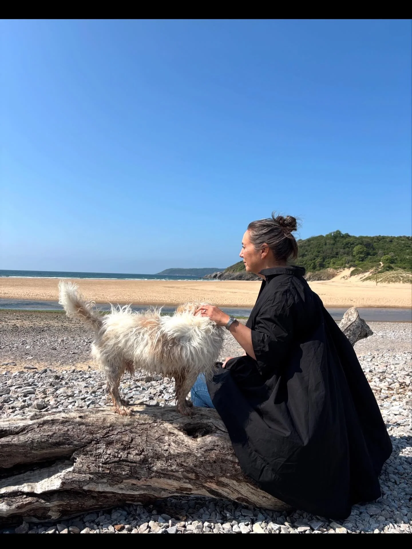 RIP Dave Dog my best friend