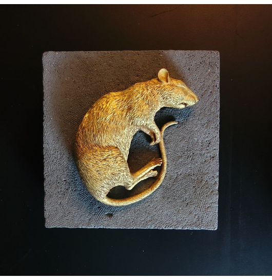 Dead Rat 
Edition of 5 (4 available)
26cm x 26cm


