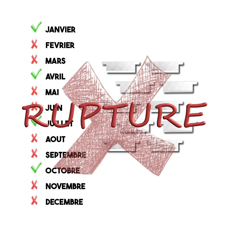 Abonnement 1 an - trimestriel - 10 Lames pour ECUREUIL