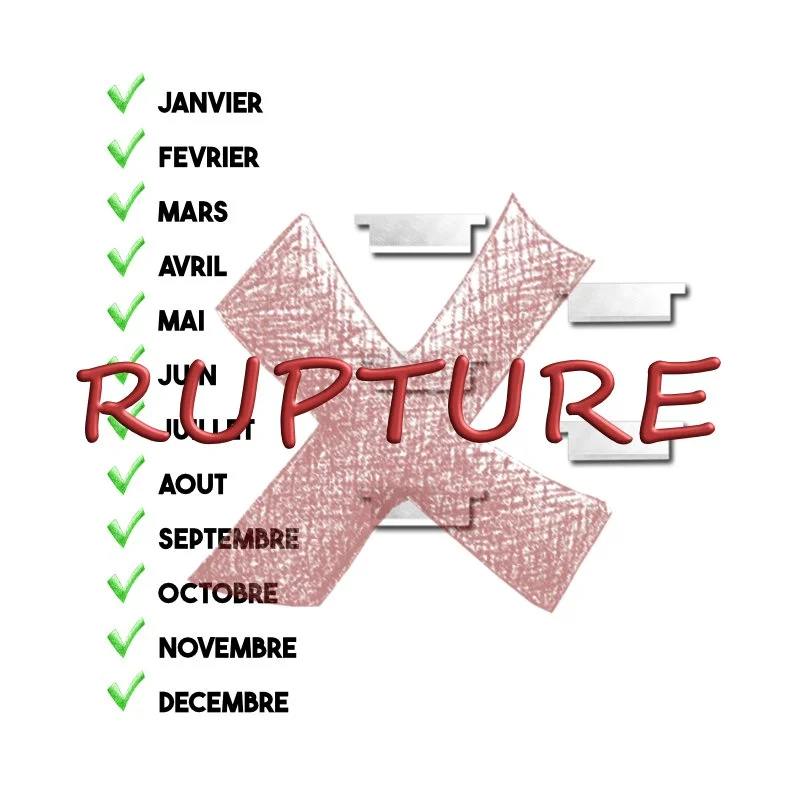 Abonnement 1 an - mensuel - 5 Lames pour ECUREUIL