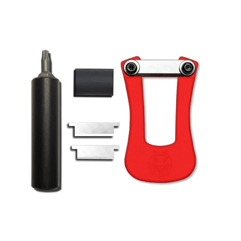 Pack petit ECUREUIL rouge & accessoires